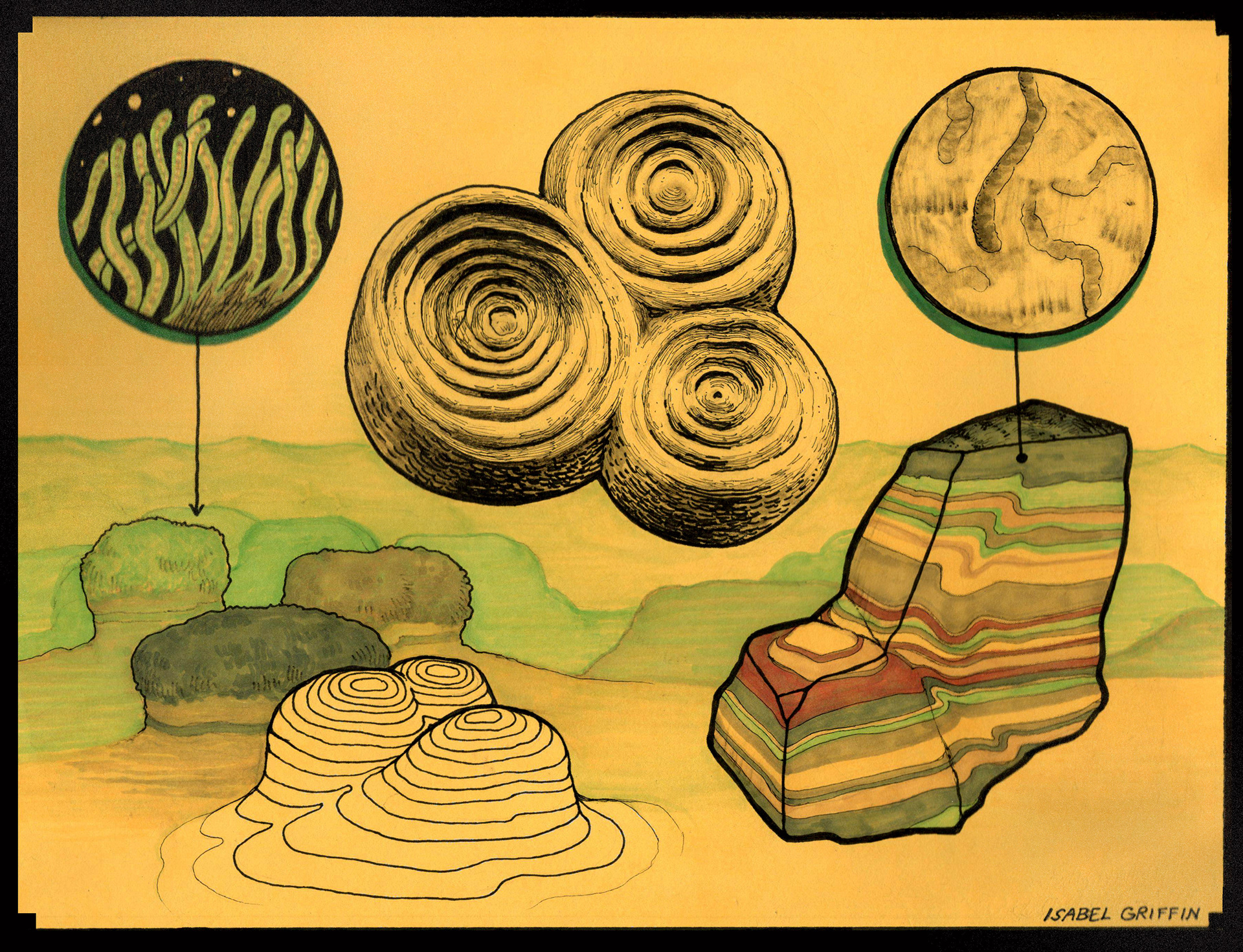 stromatolite assemblage, ink on construction paper
