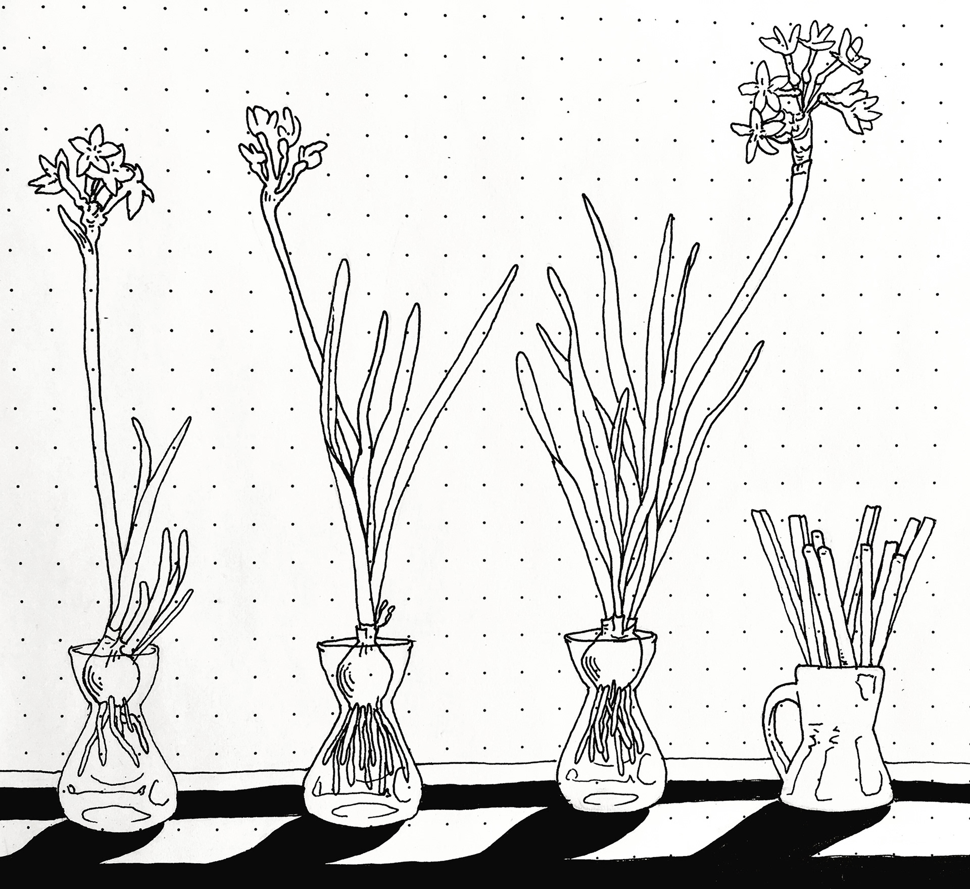 "bulb still life," ink on paper