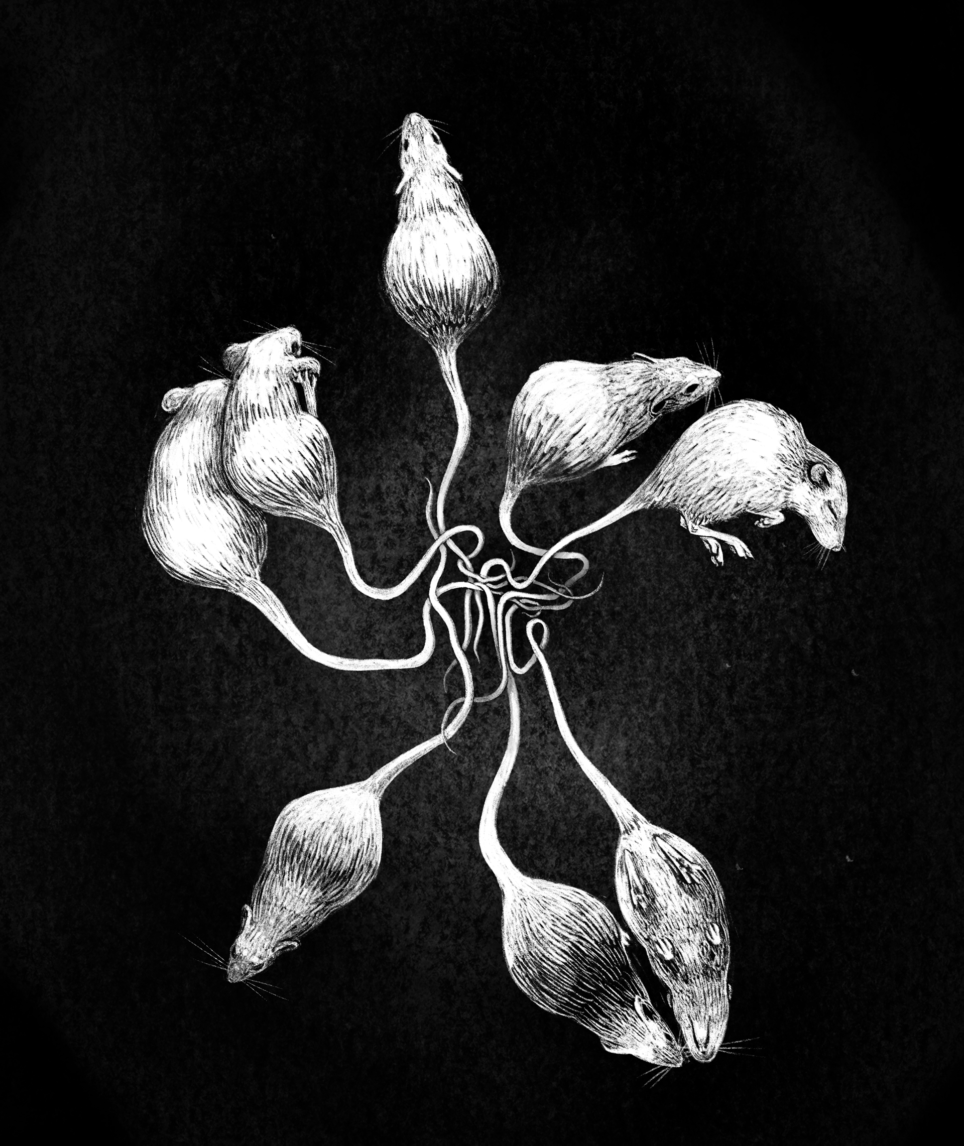 "Rat King," illustration for a zine, digital
