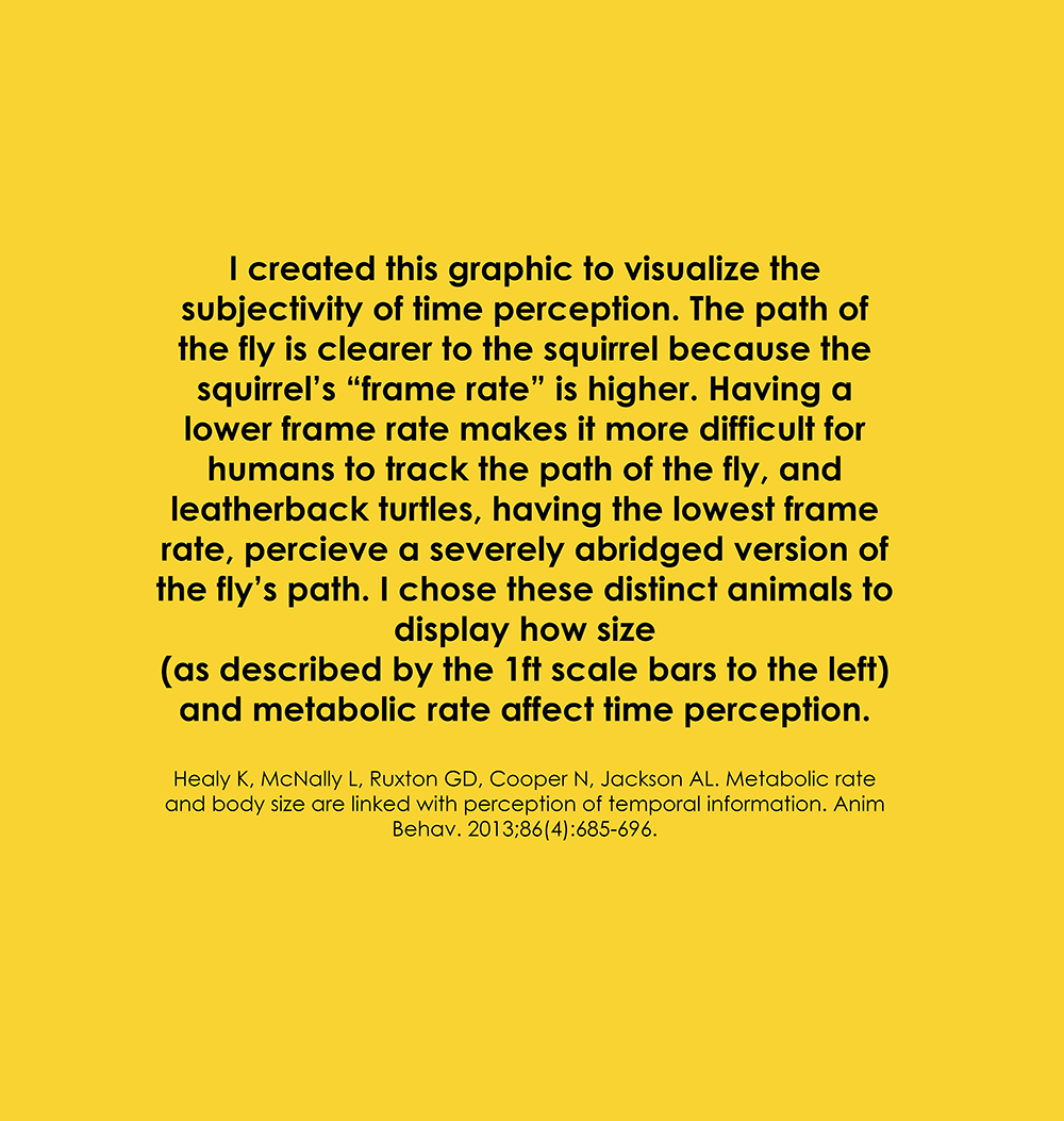 temporal perception explanation, digital