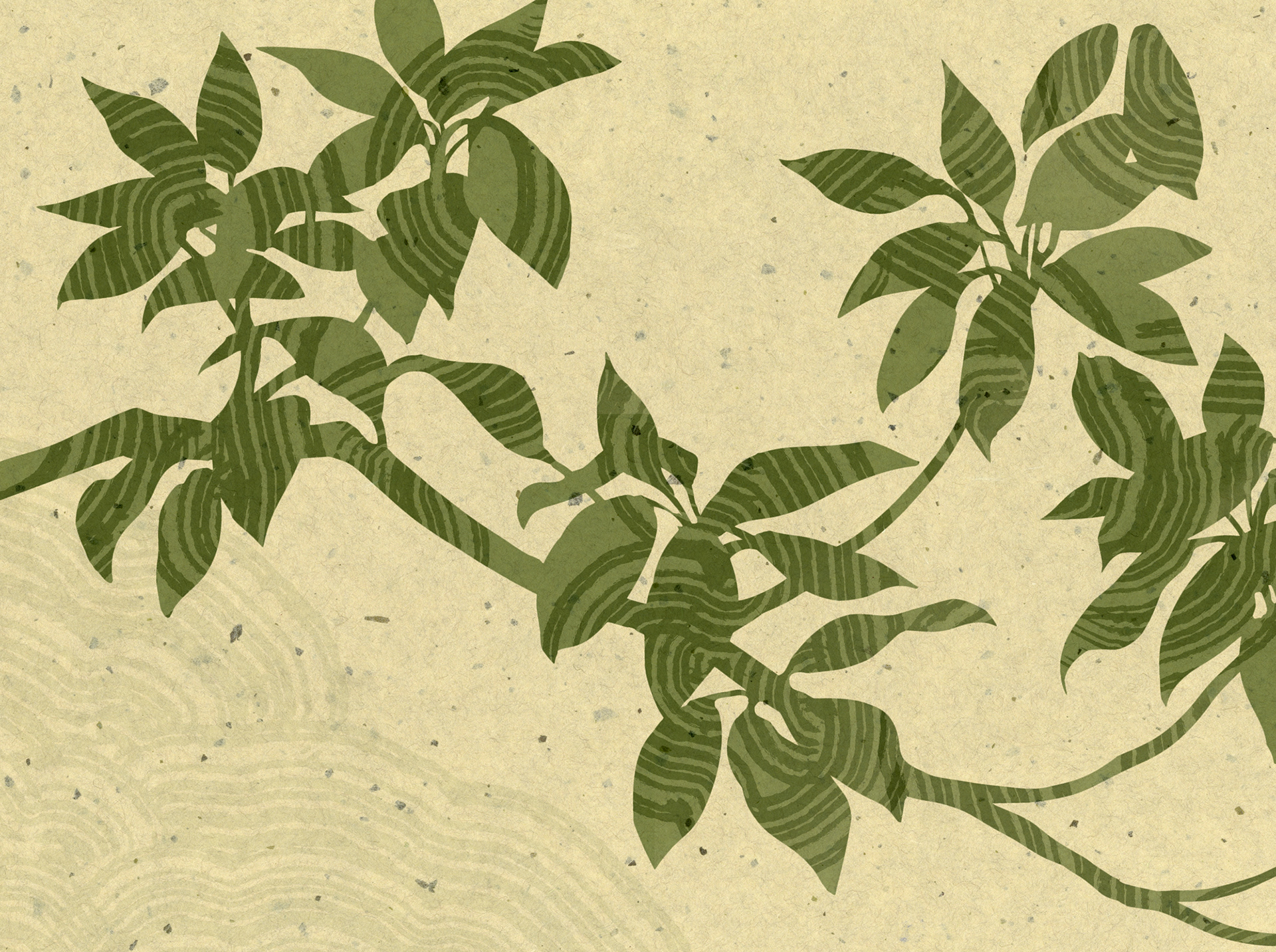 "magnolia branch," digital