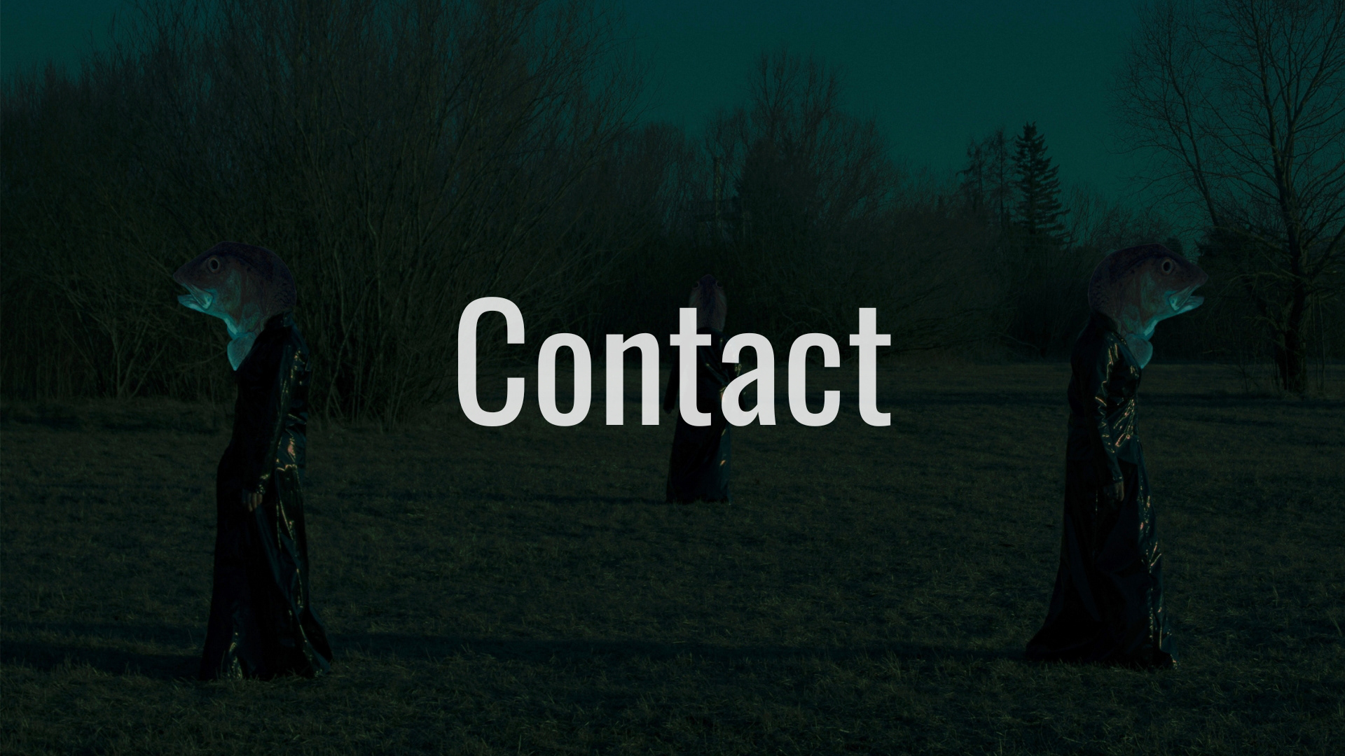 Contact