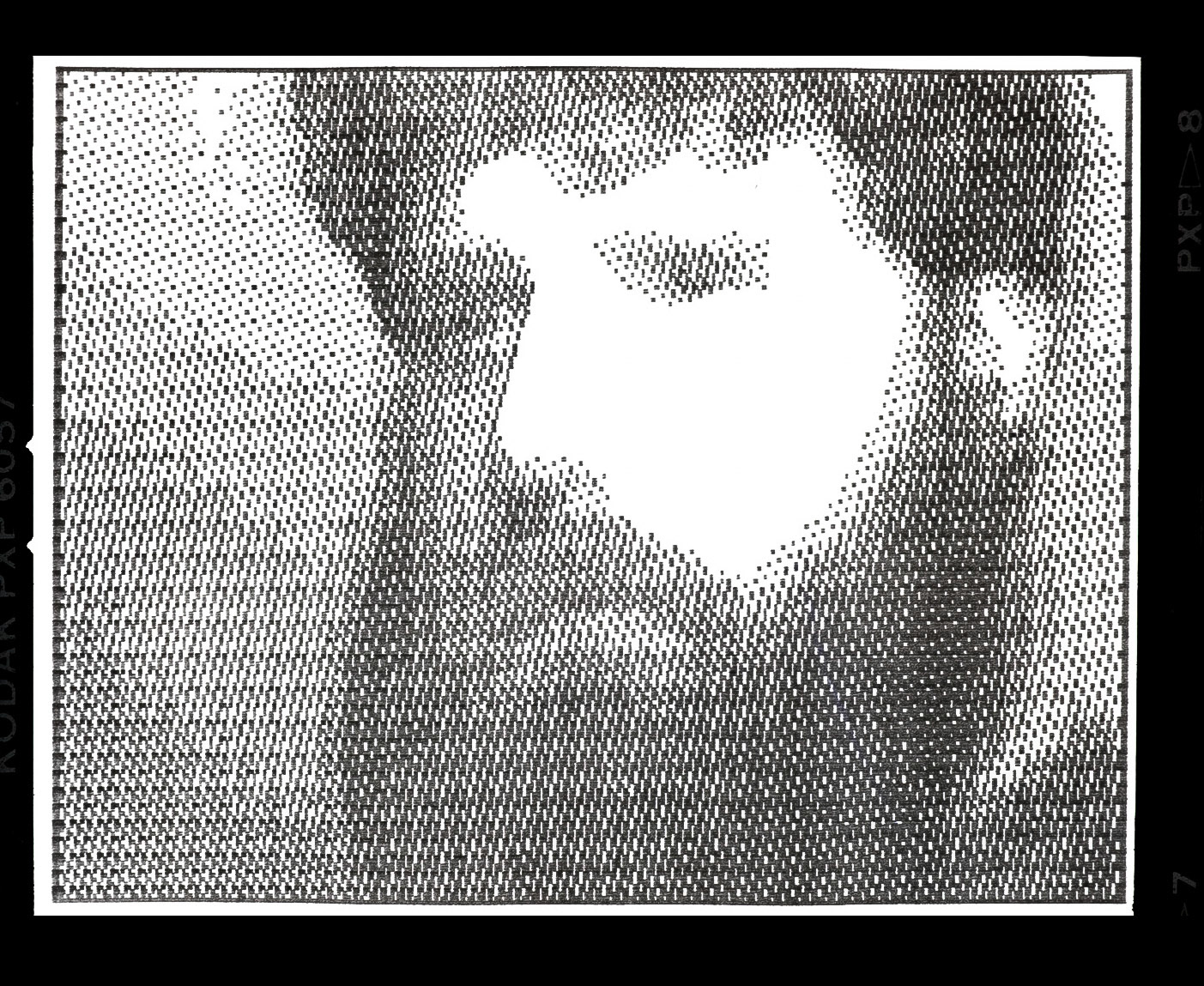 My Digital Selfy 1984