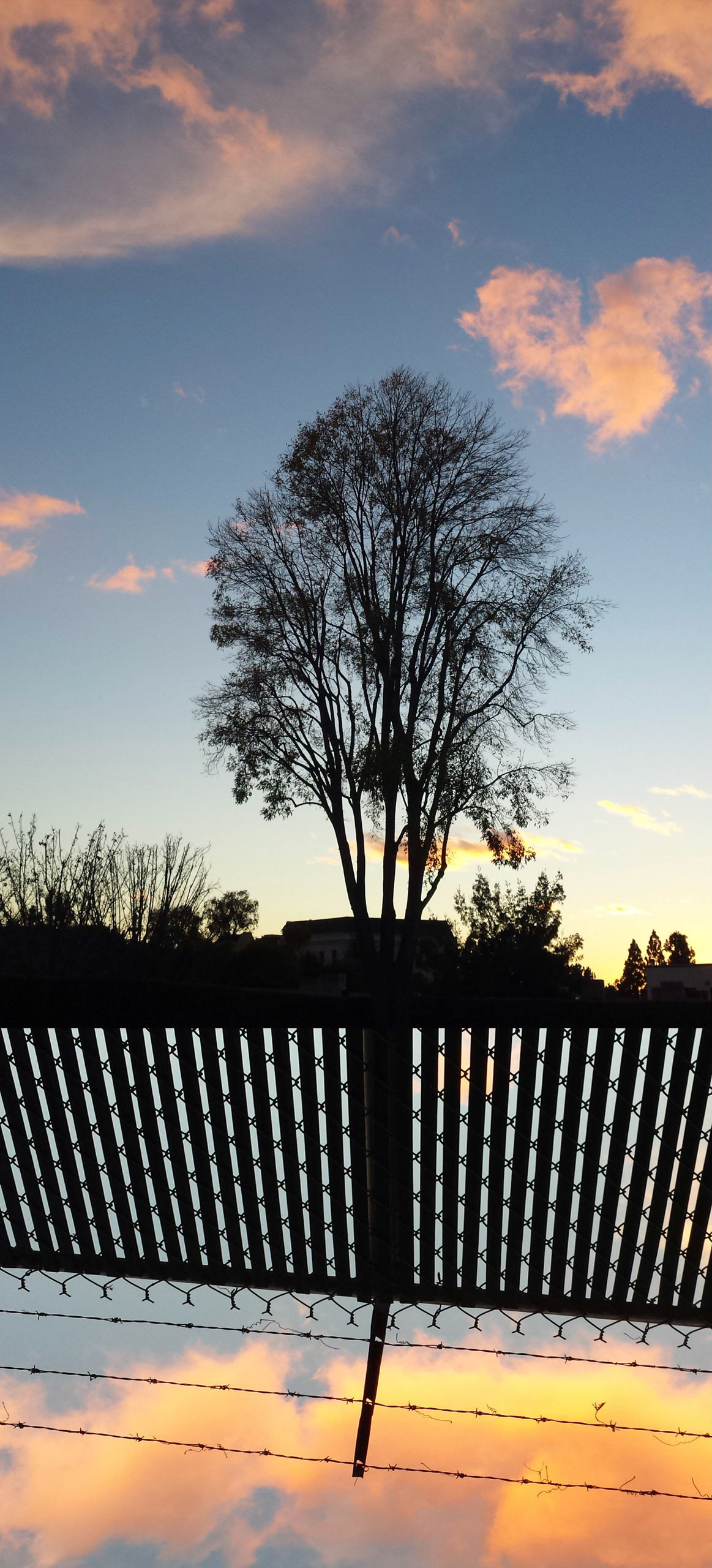 Ode to Jon Measures #1