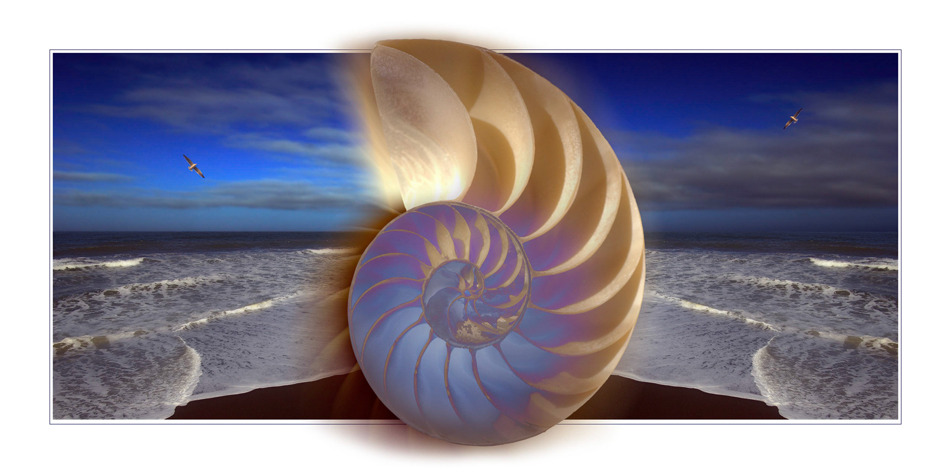 Nautilus Waves
