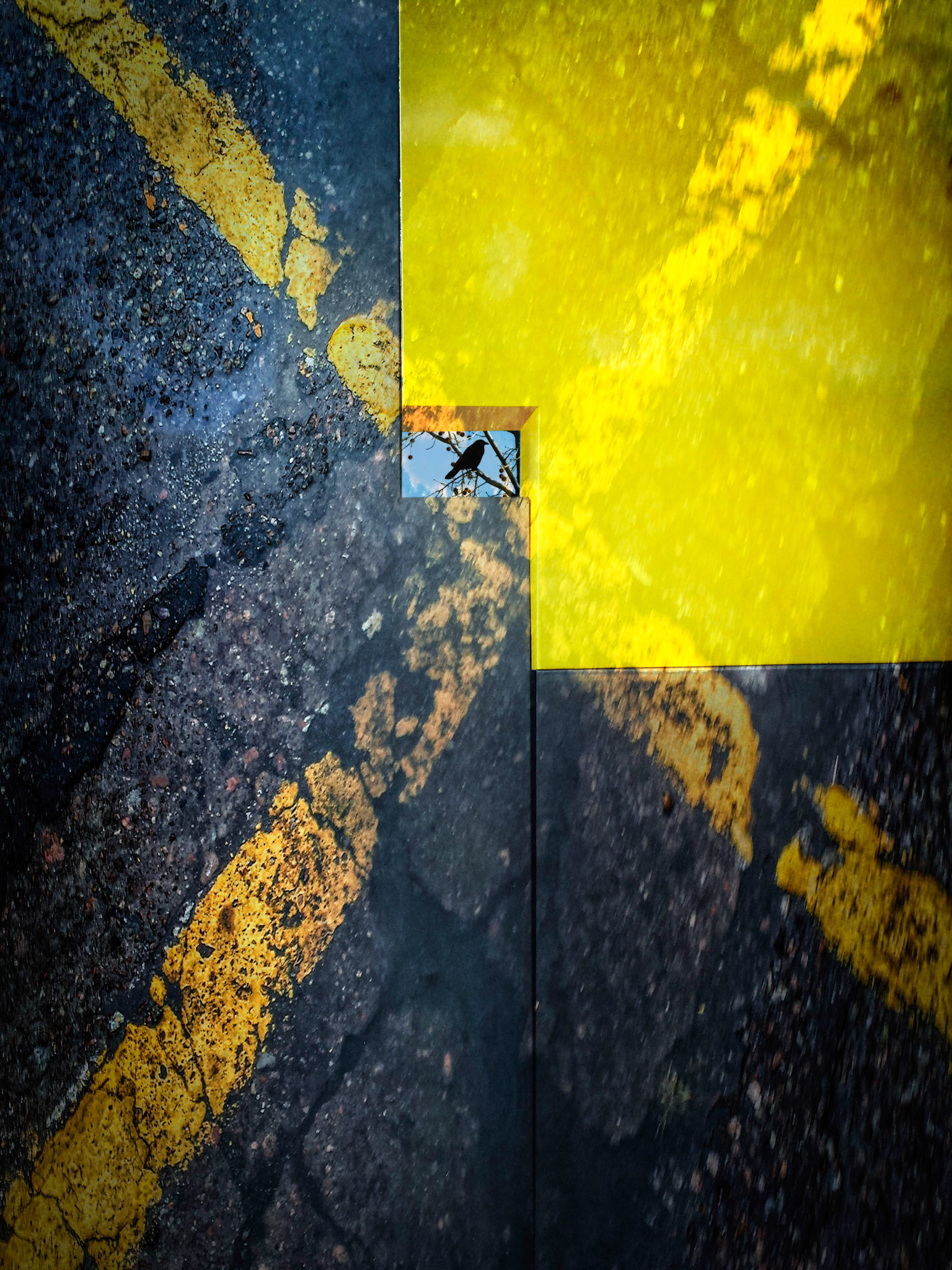 Crow Almost Abstract