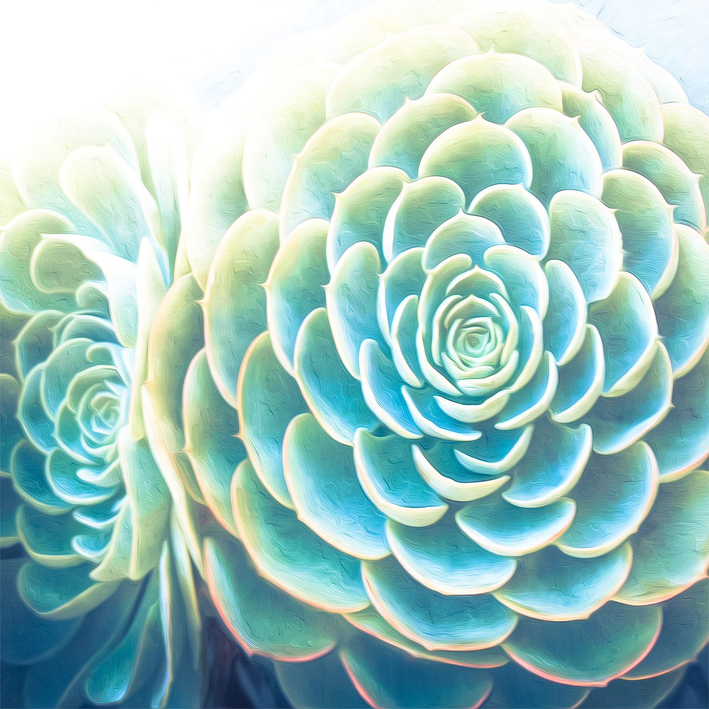 Succulentus v1