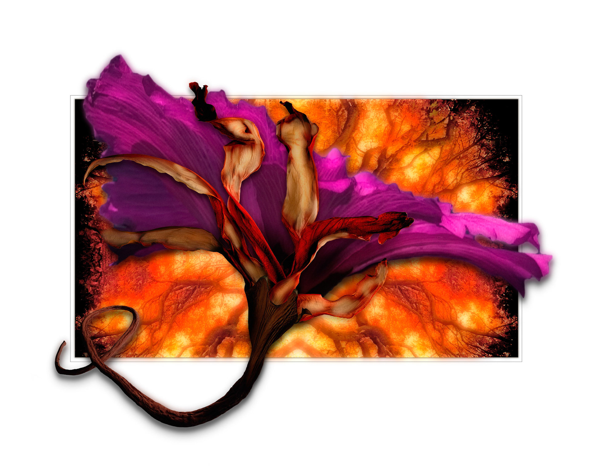 Floral Fire