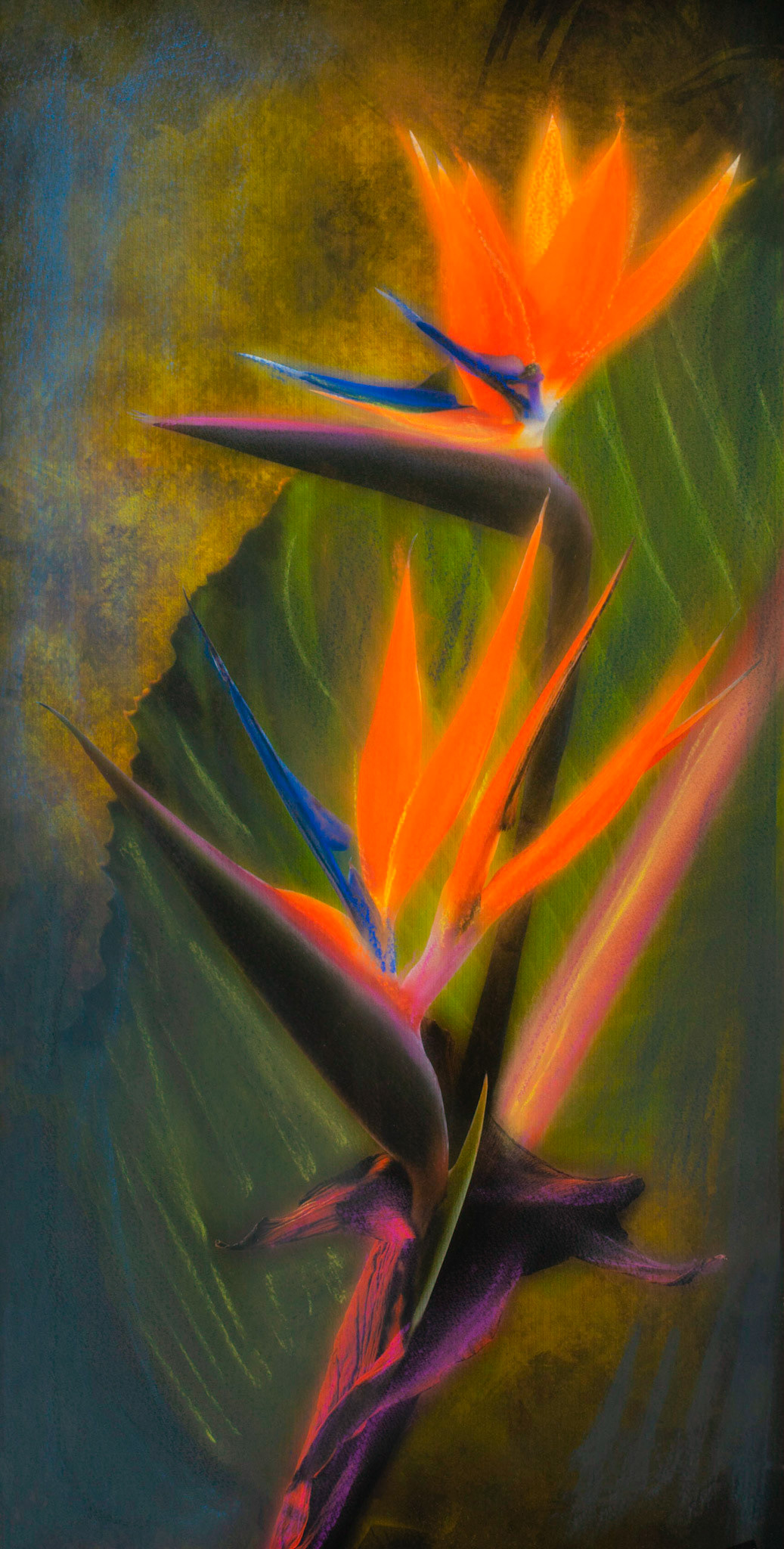 Birds in Paradise