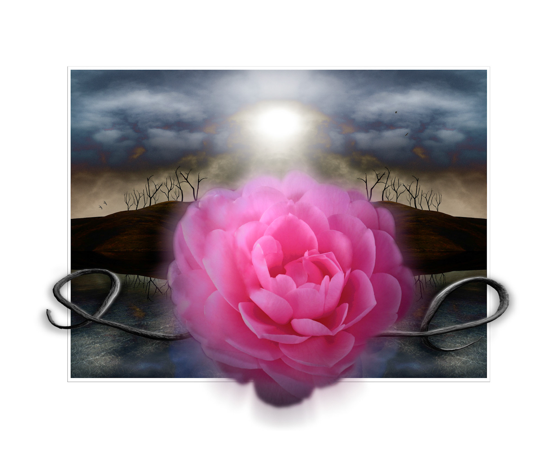 Renewal