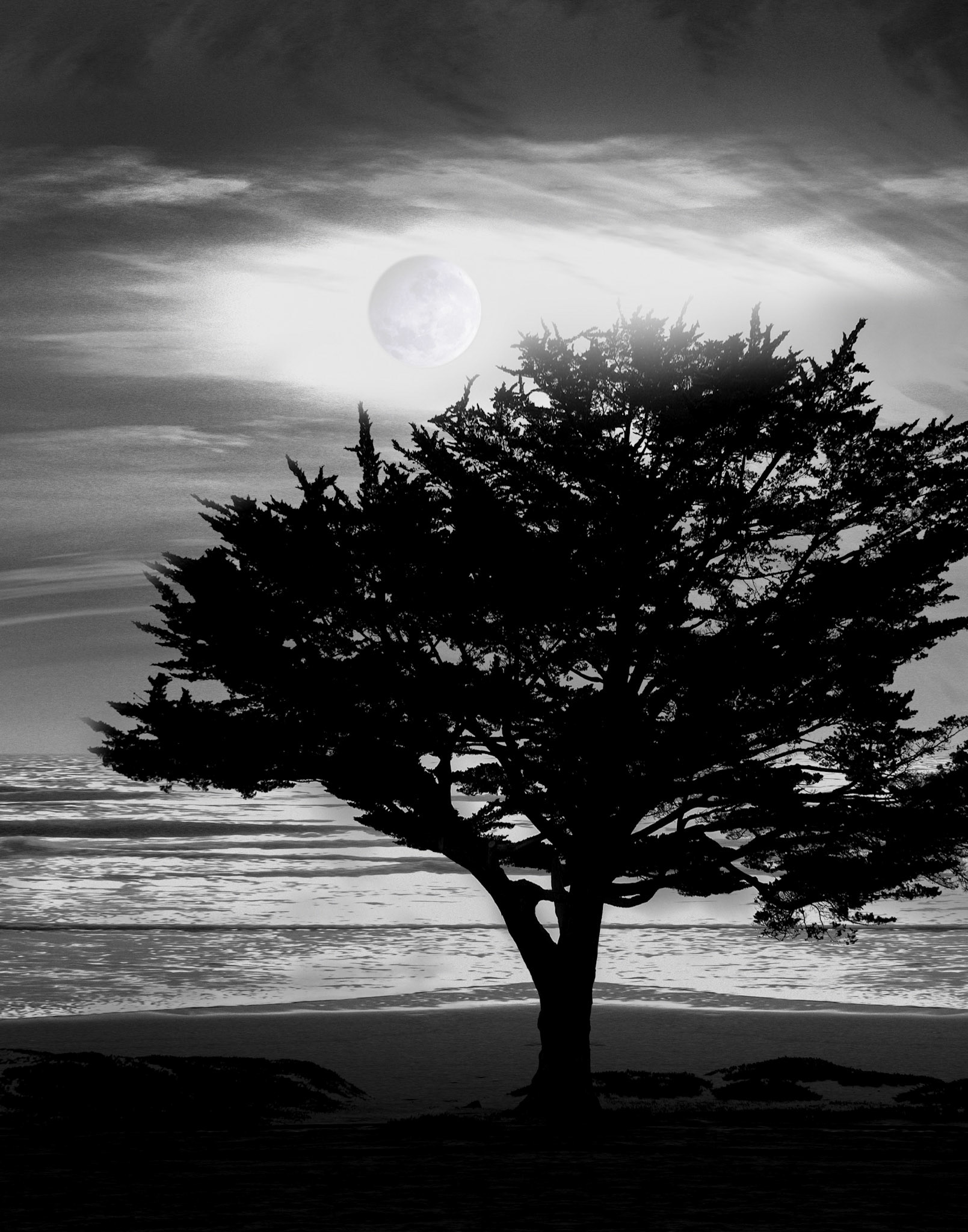 Monterey in Moonlight