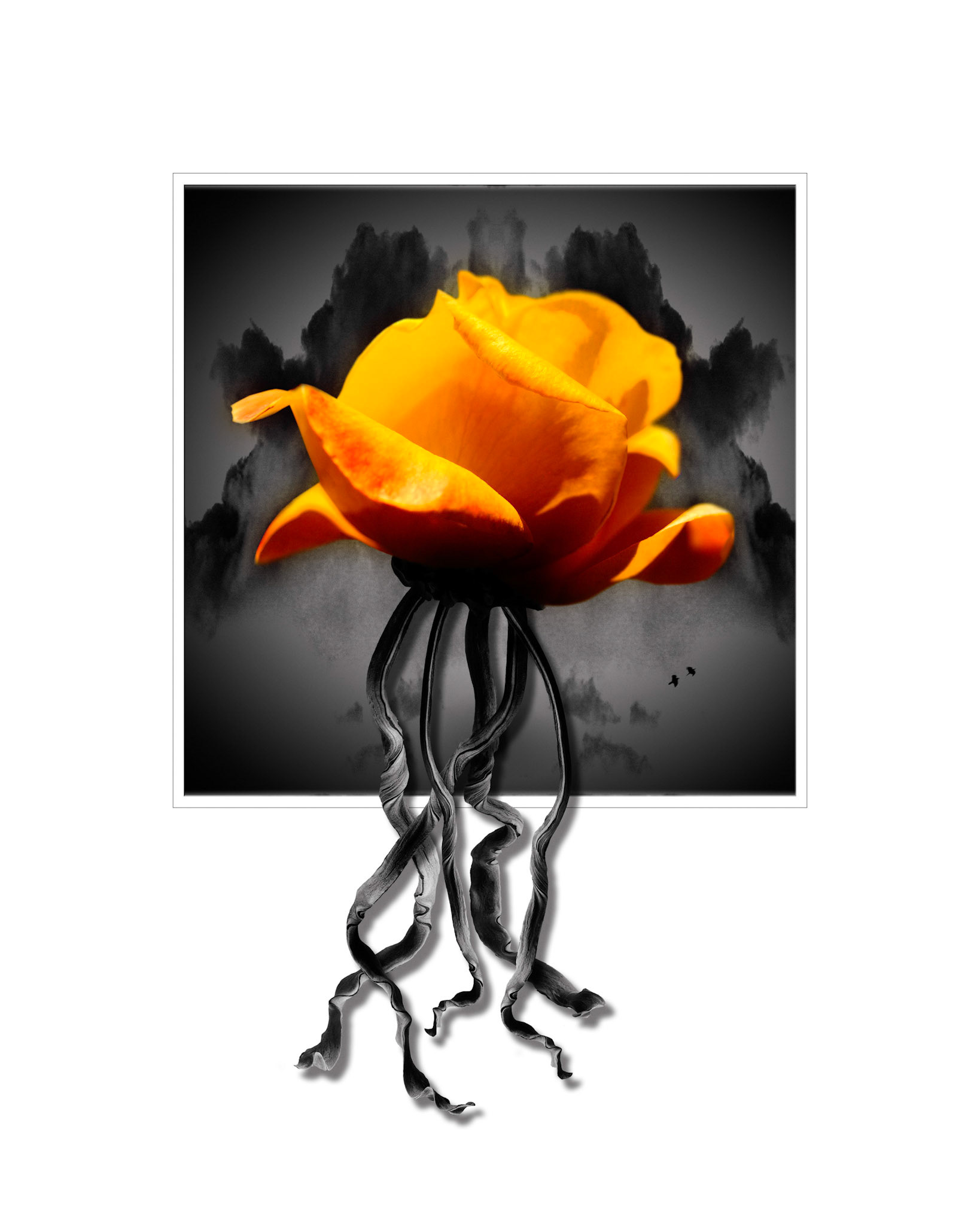 Rose Electric