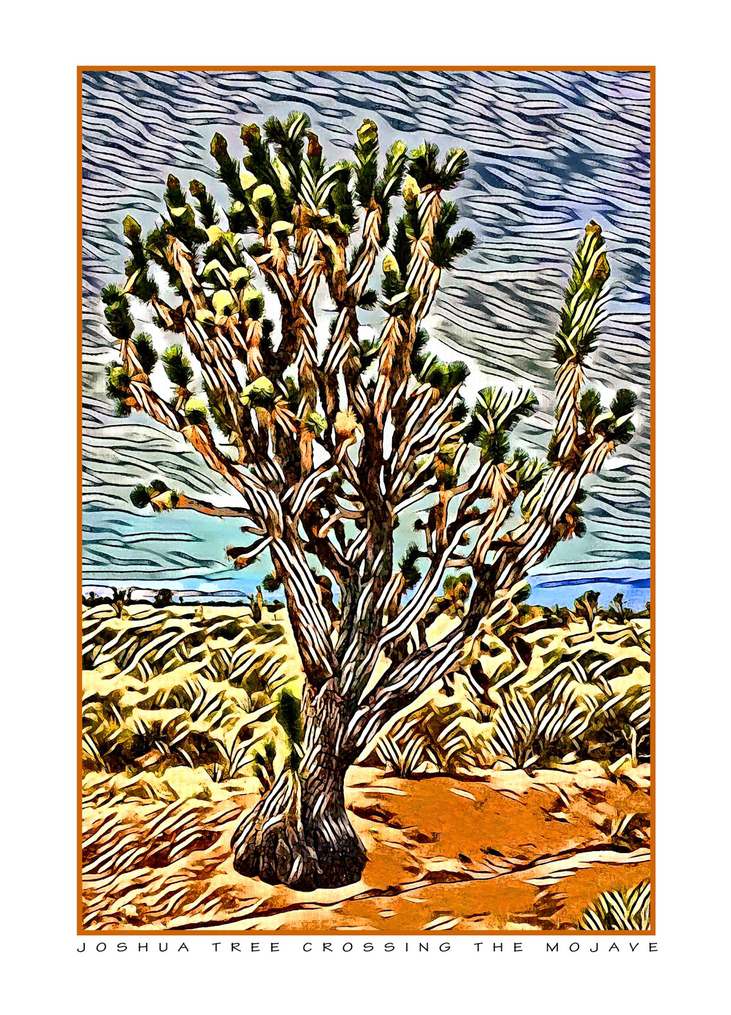 Joshua Tree Walking Across The Mojave