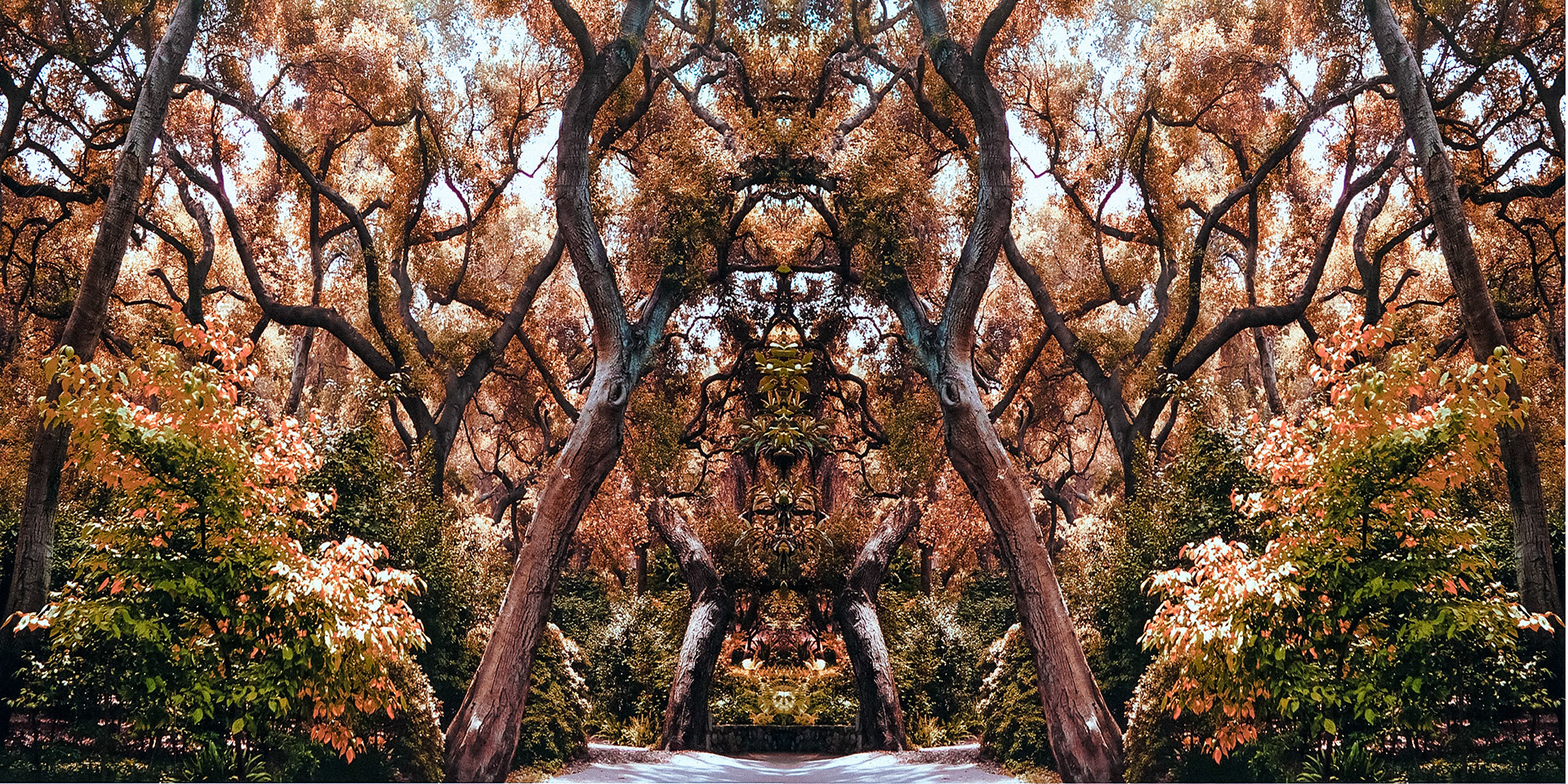 Forest Creature - Descanso Gardens