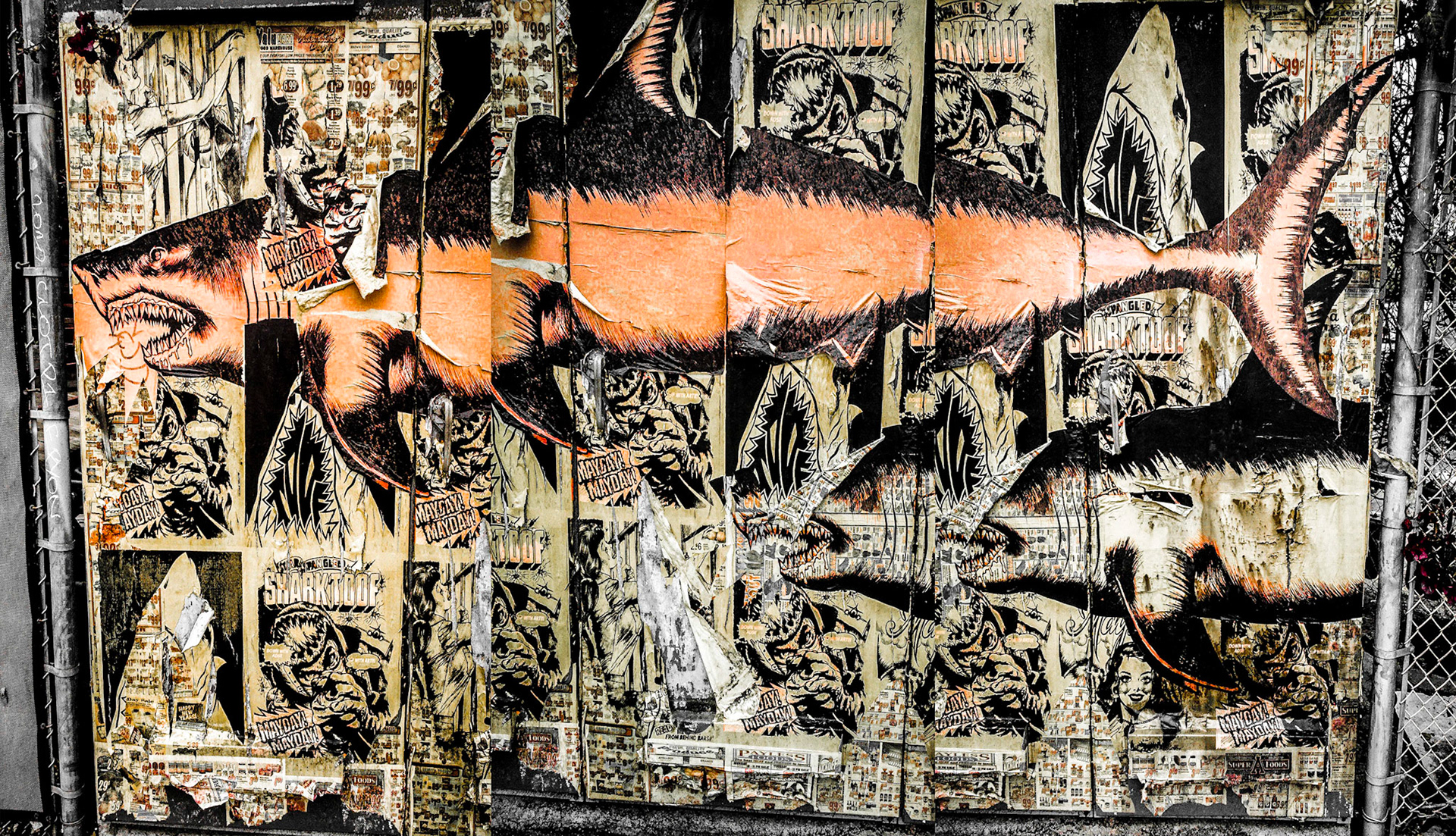 Bergamot Station Shark