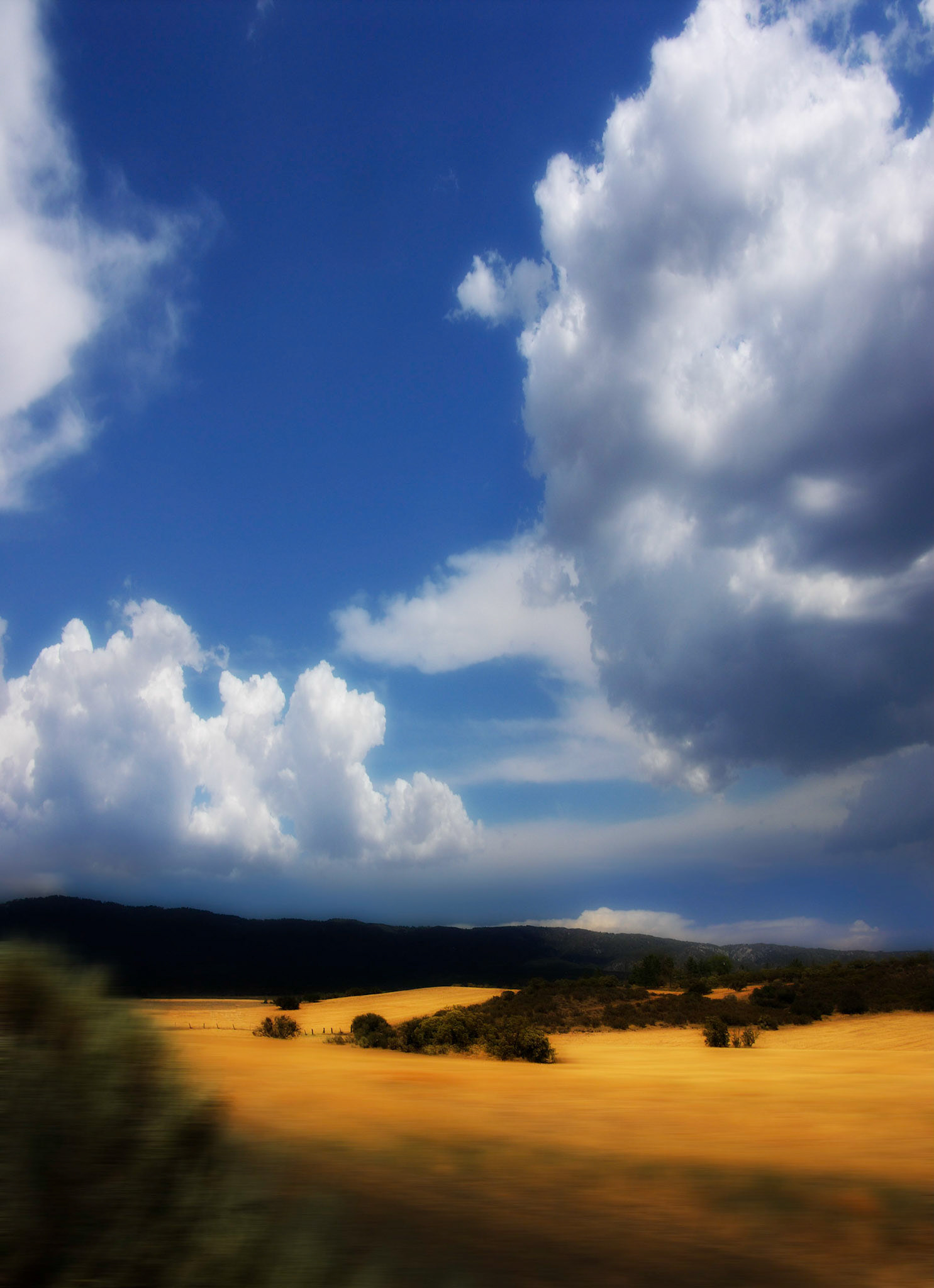 Montezuma Valley Road