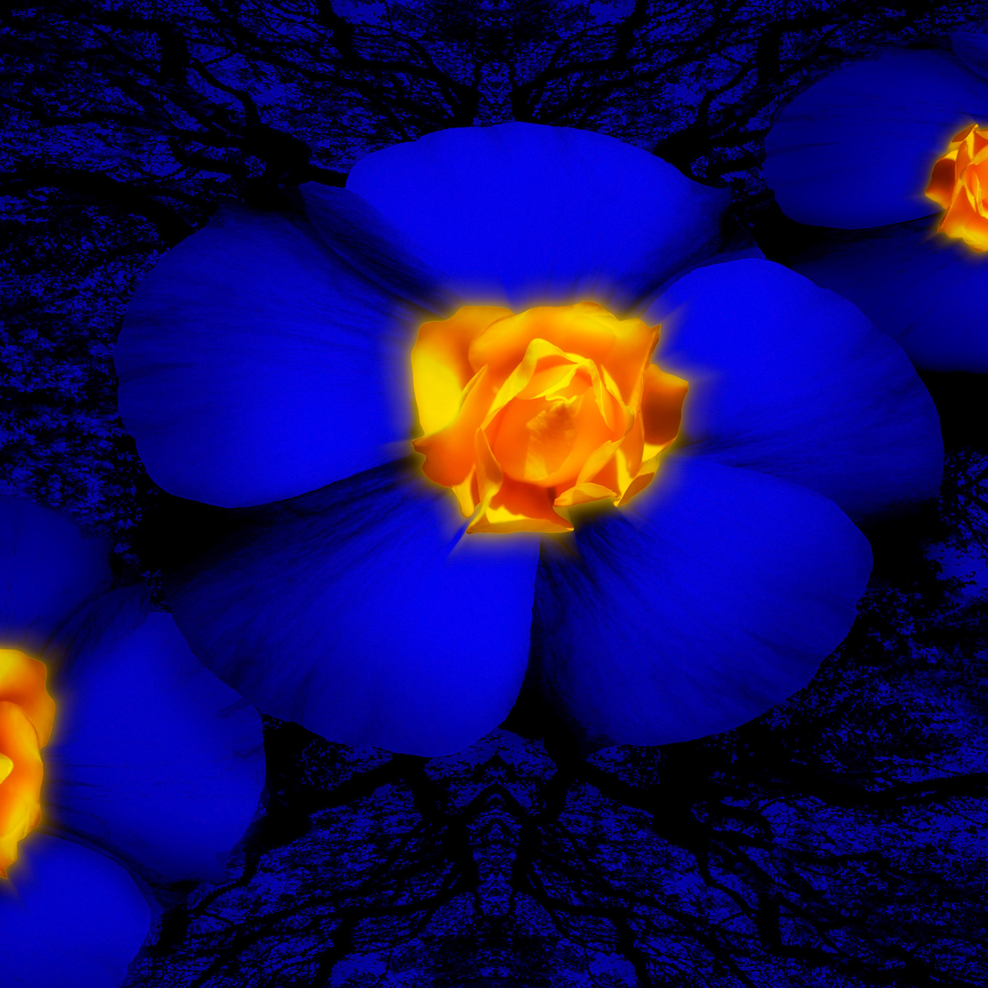 Floral Blues