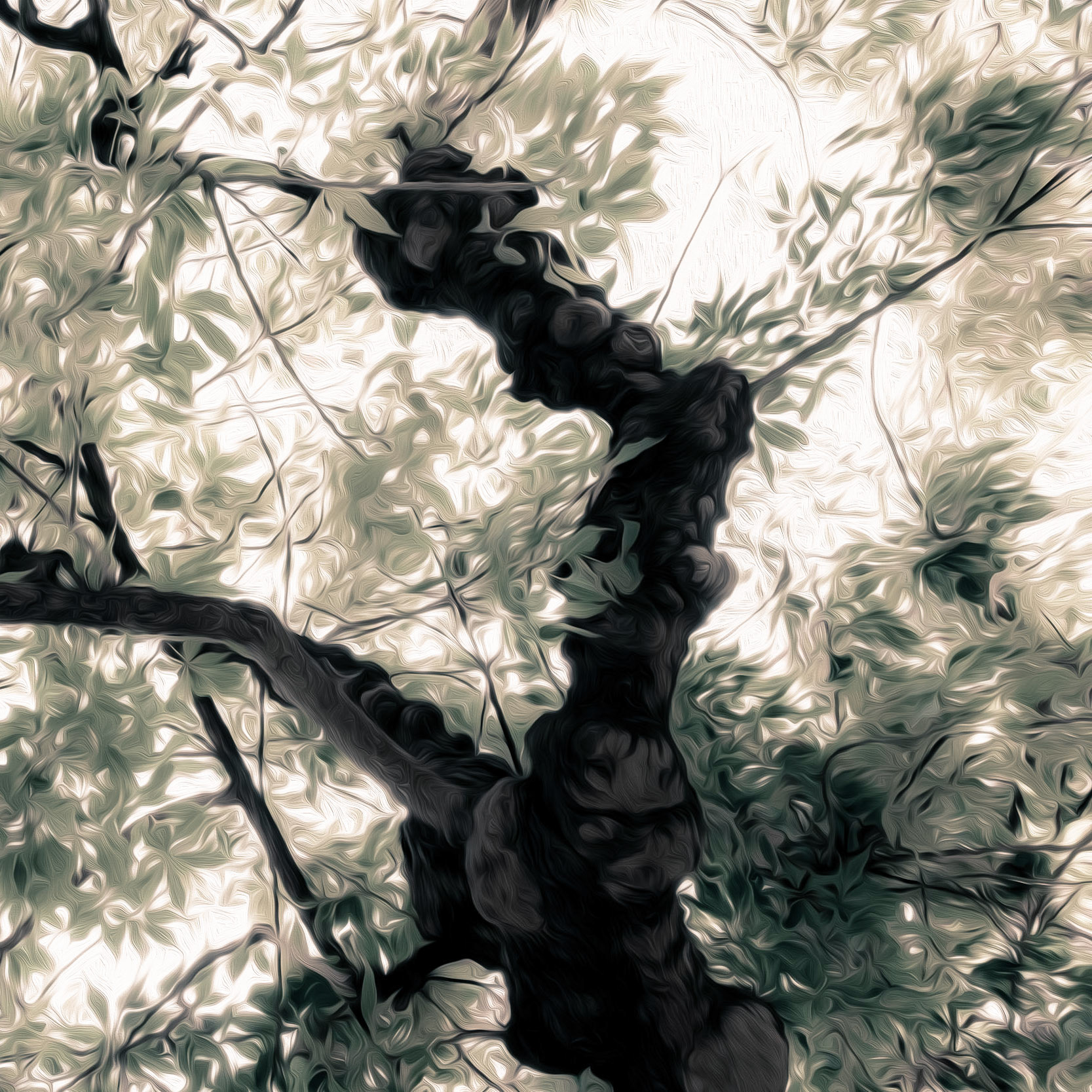 A Tree is a Poem that the Earth writes to the Sky