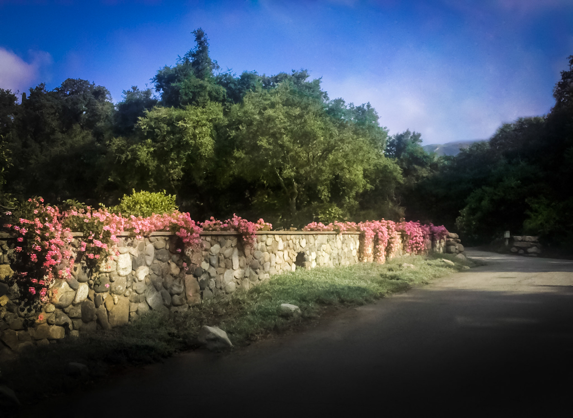 Garden Enterance