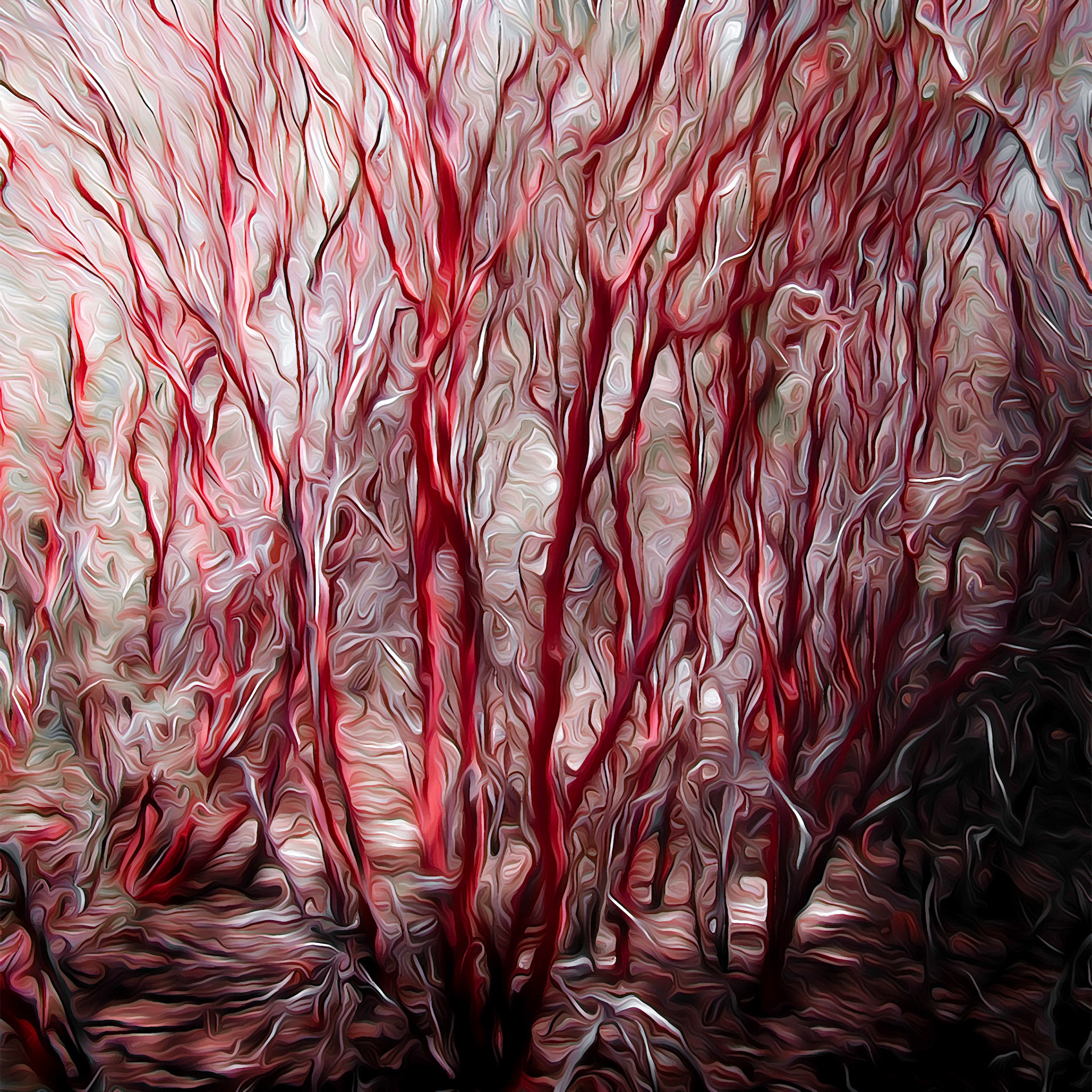 Manzanita Impression