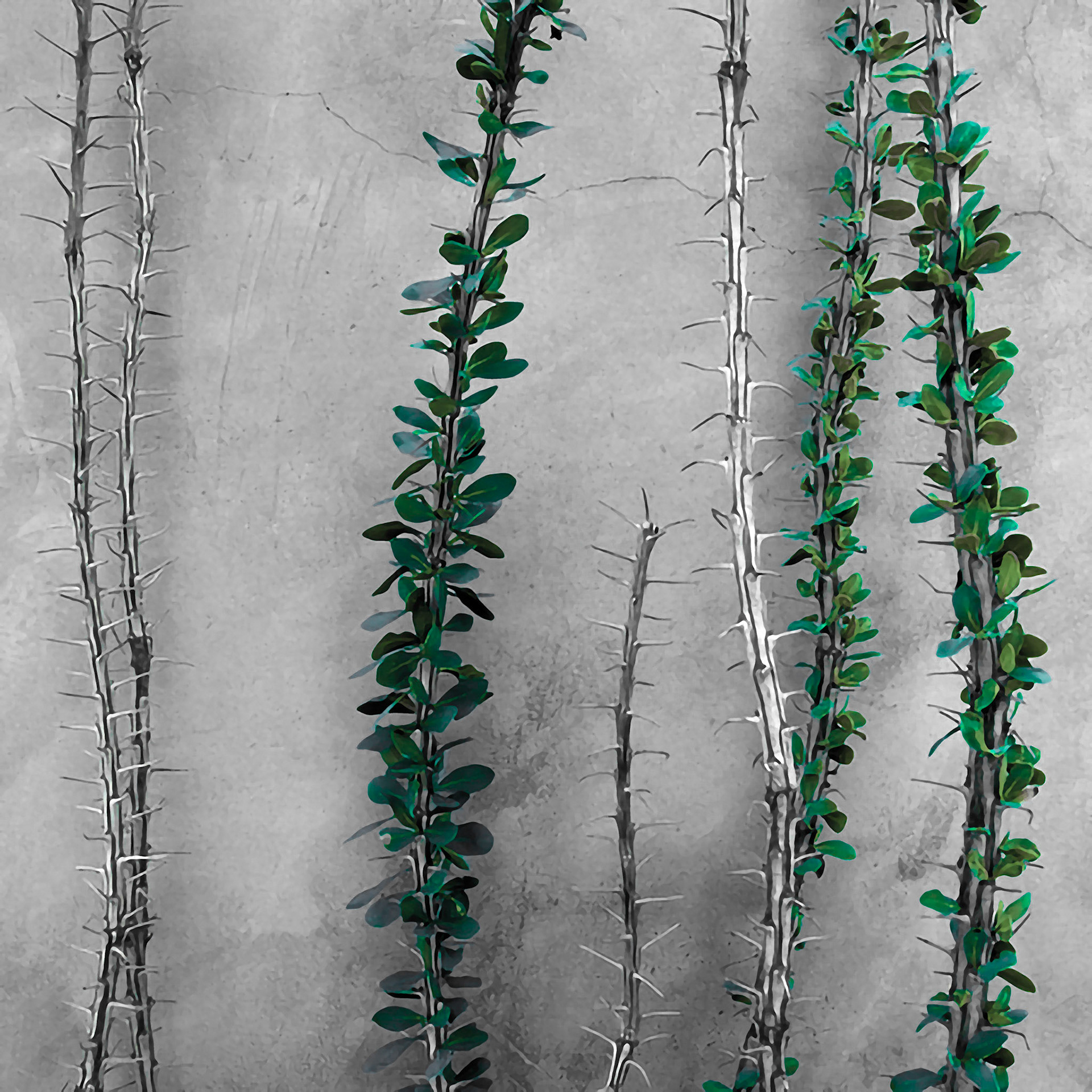 Up Against the Wall v1