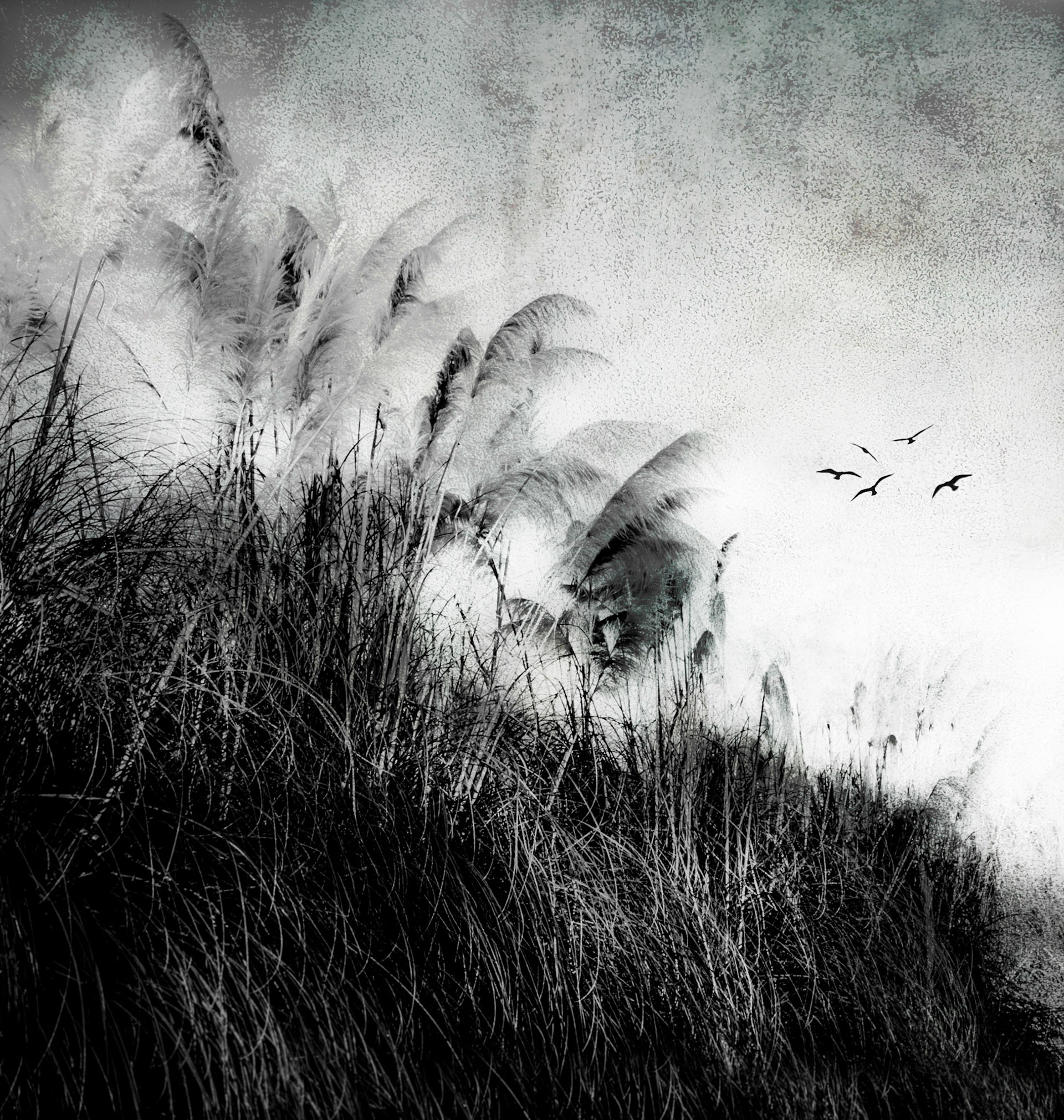 A Quiet place by the River