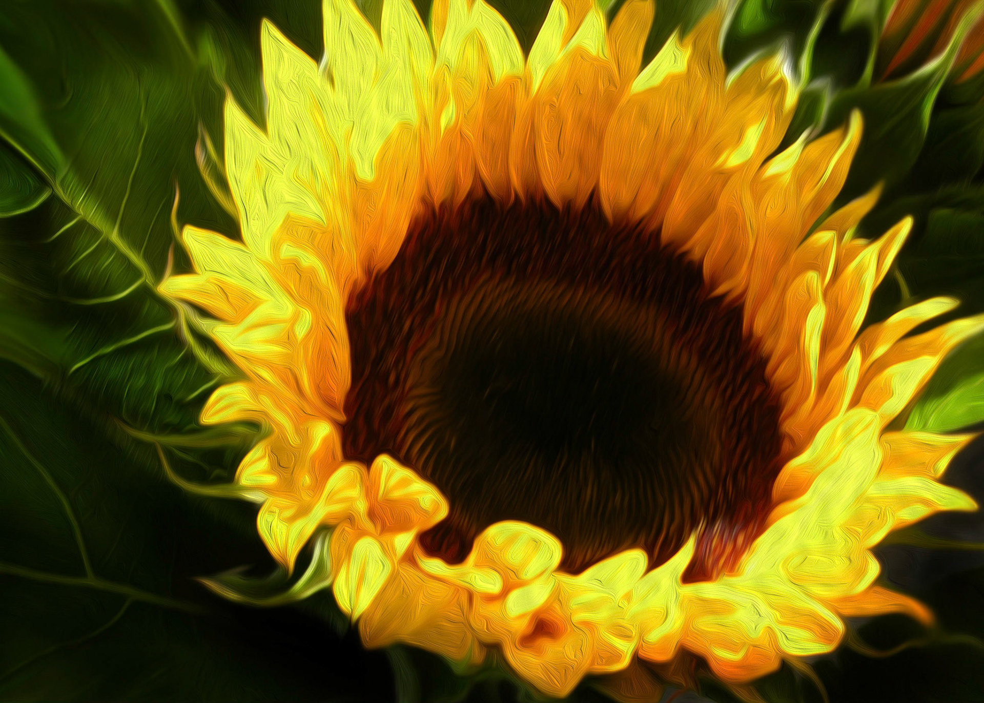 Flur del Sol