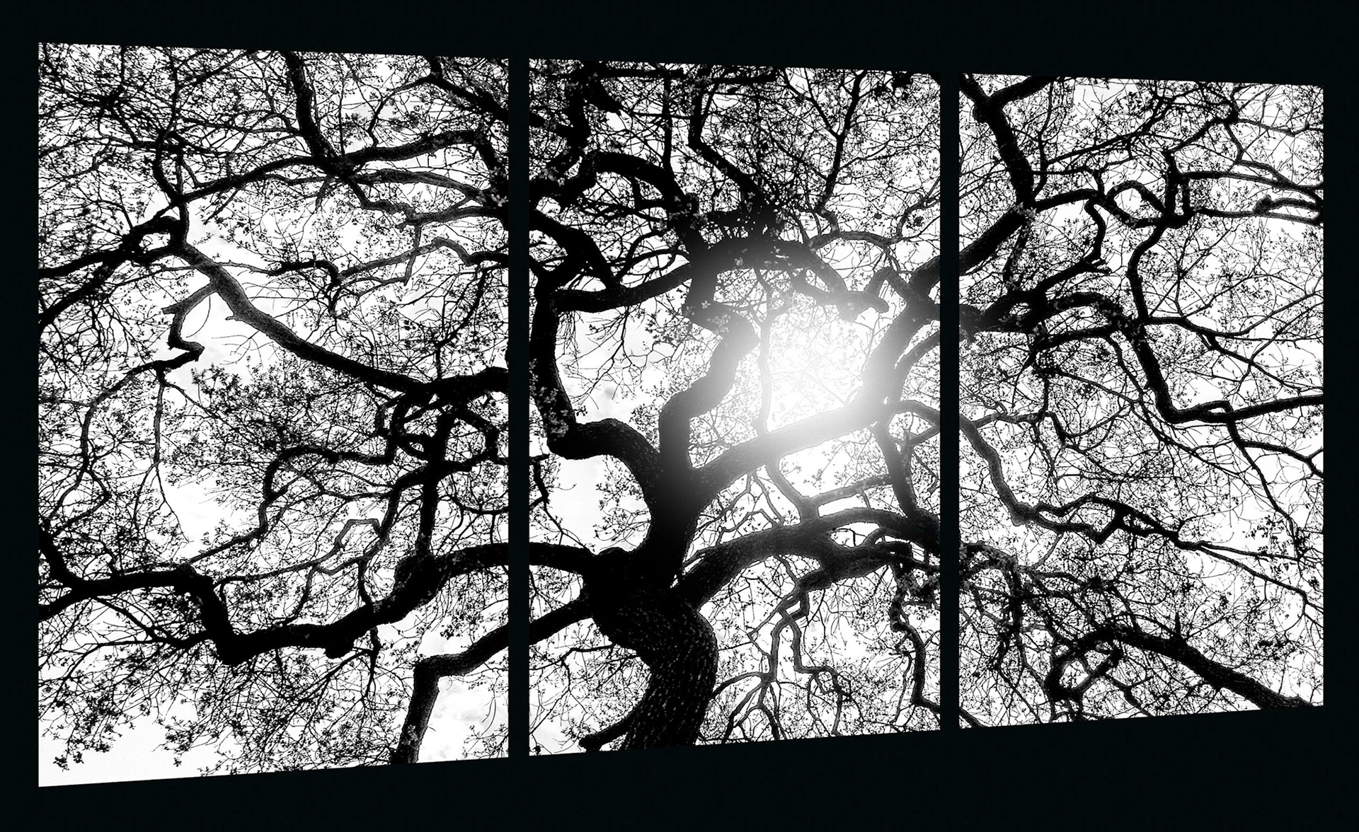 Filtered Light