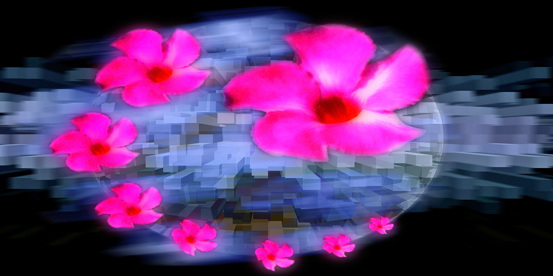 Ring Around The Posy