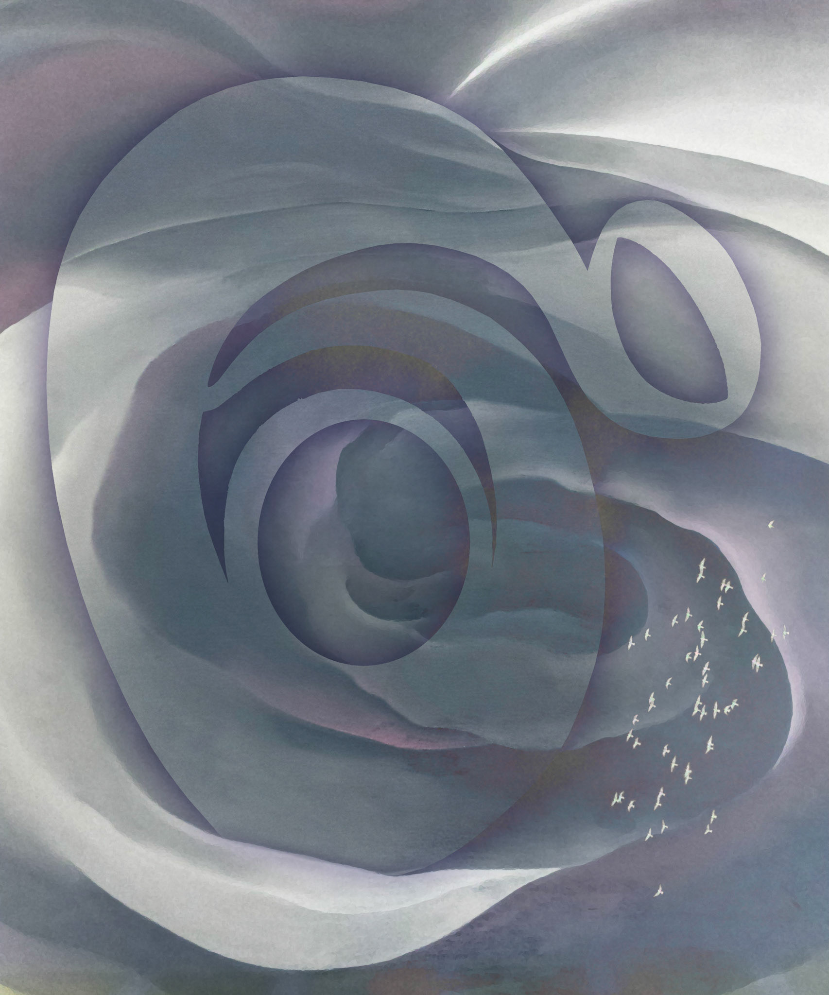 My O'Keeffe White Rose Abstraction