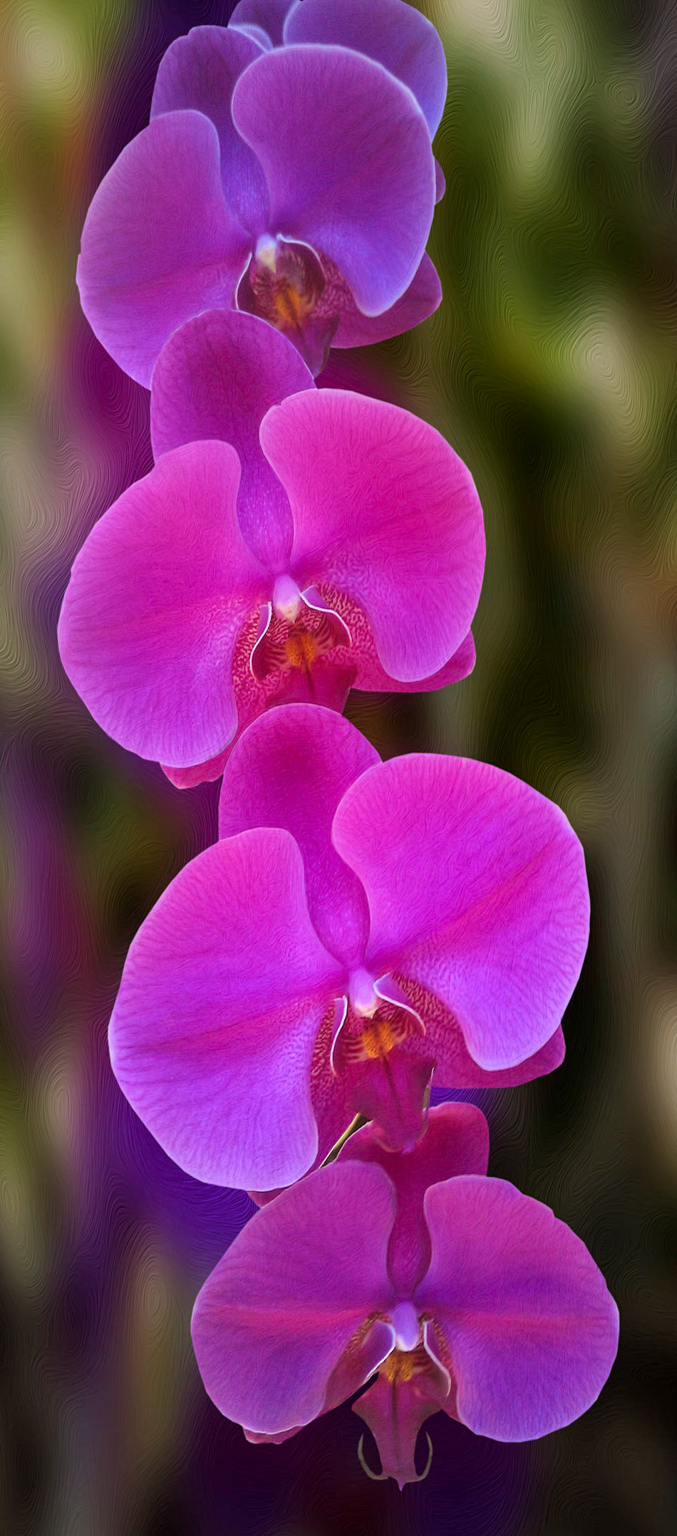 Orchid Fall
