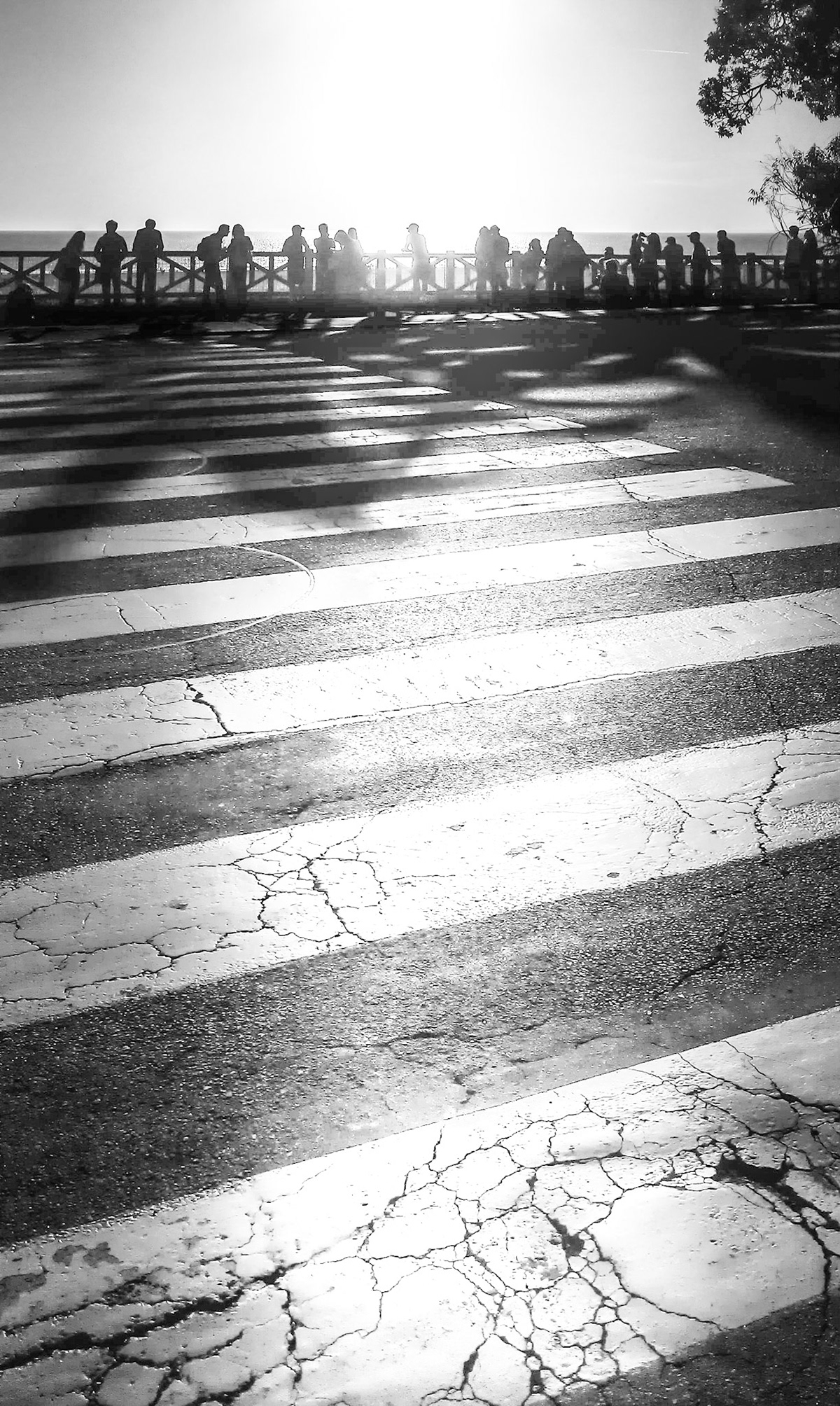 Sightseers Have Become The View