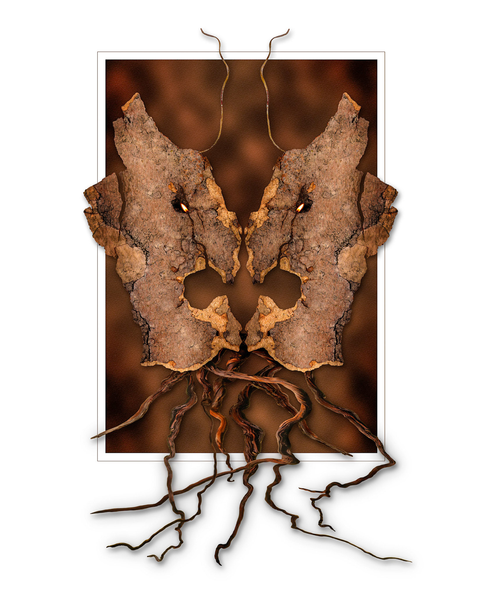Forest Mask or the Argument