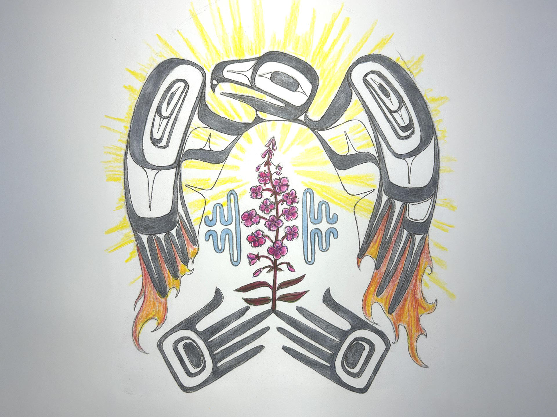 Sketch from indigenous artist used for cover.