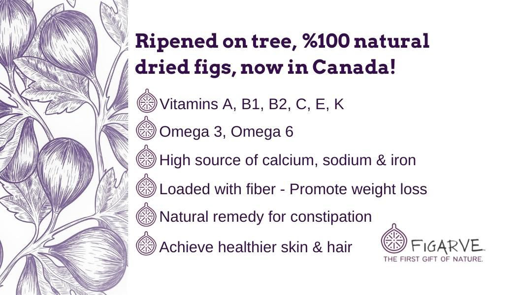 Premium Turkish Figs business card – back design 