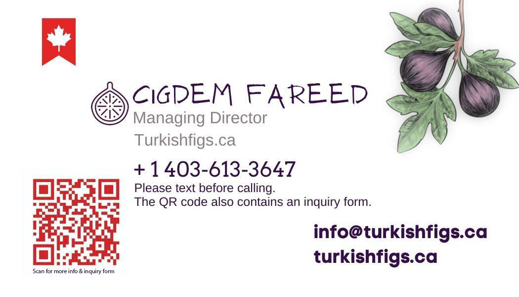 Premium Turkish Figs business card – front  design 