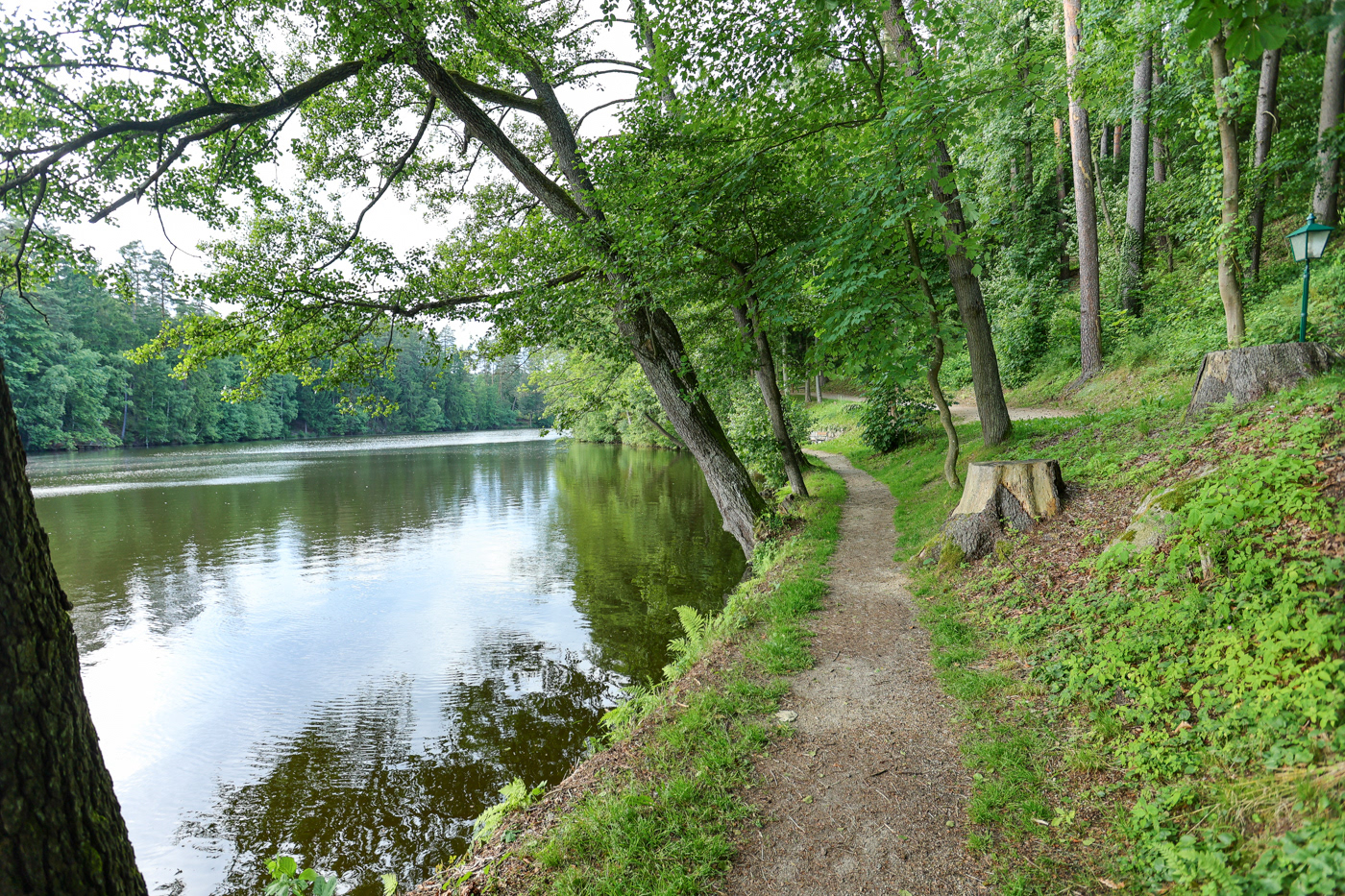 Herrensee Litschau