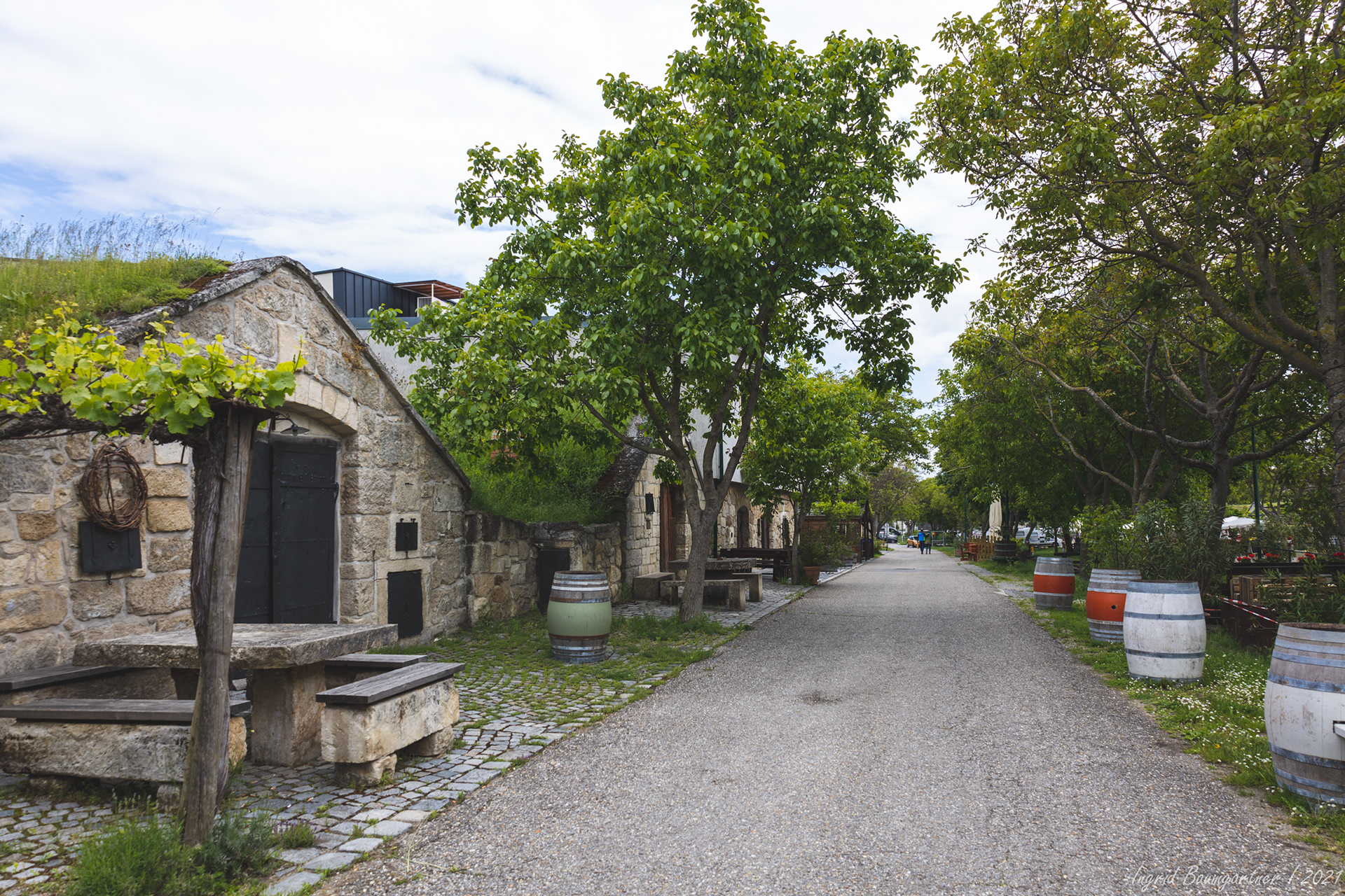 Historische Kellergasse Purbach