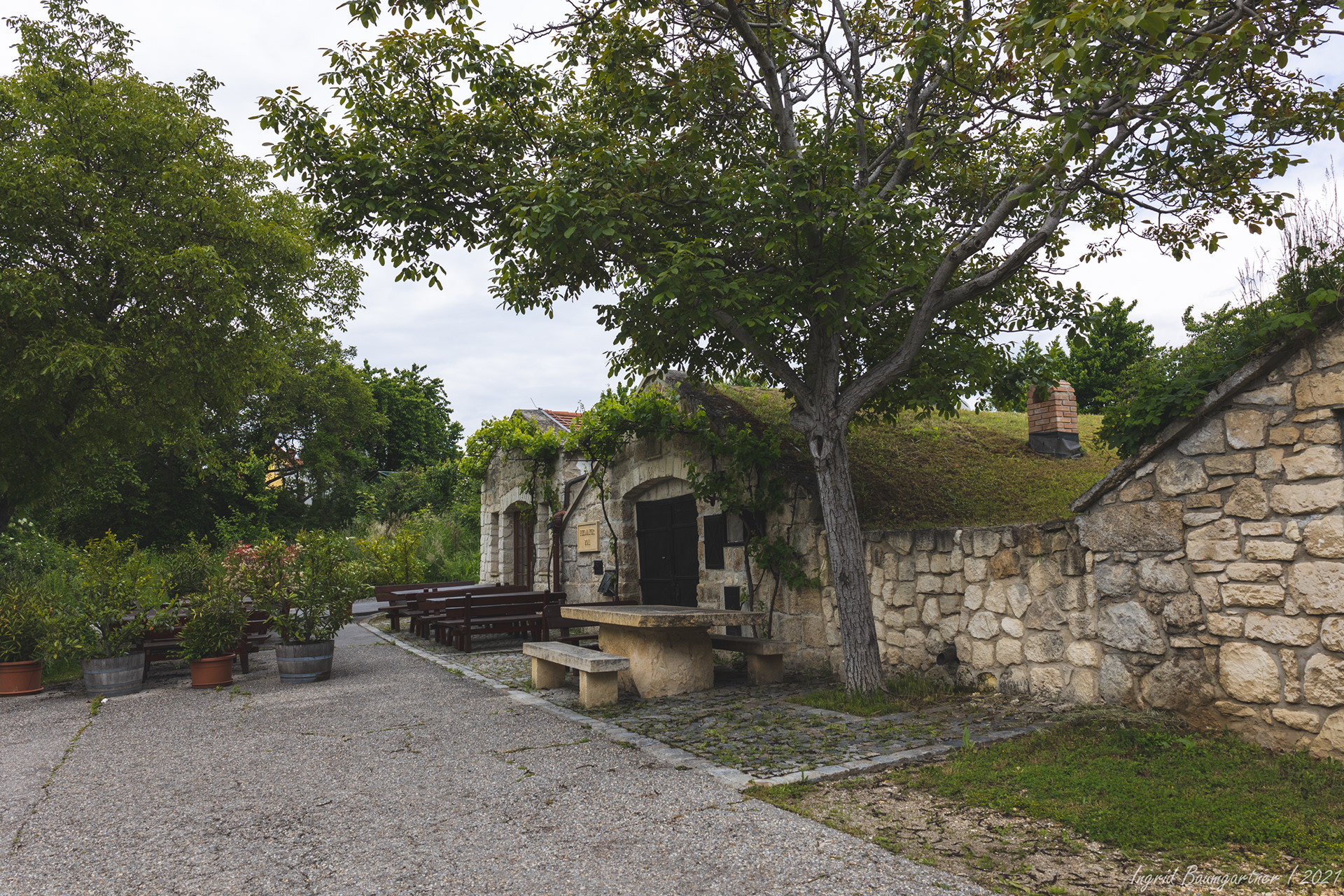 Historische Kellergasse Purbach