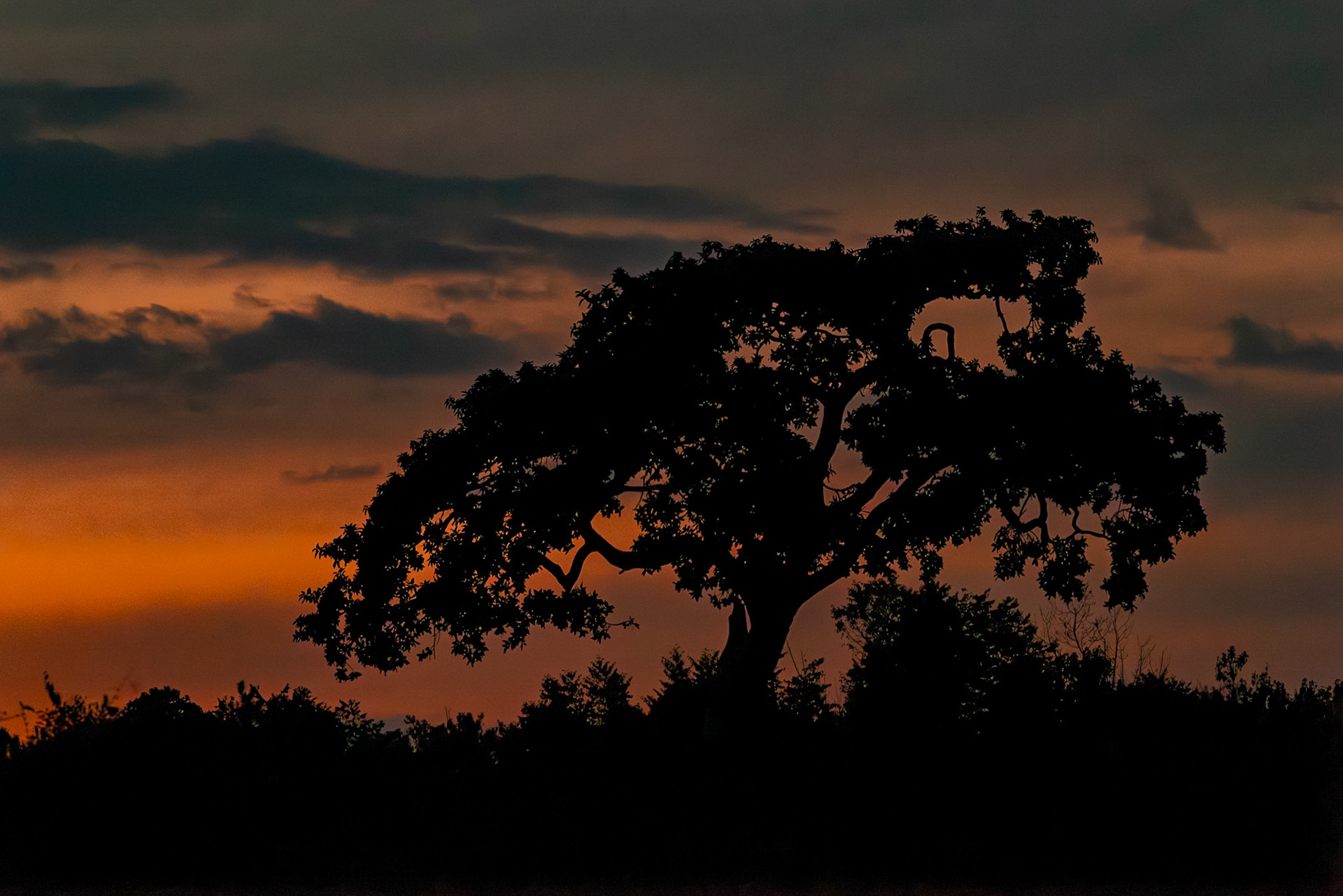 Sunset in the Masai Mara, Kenya