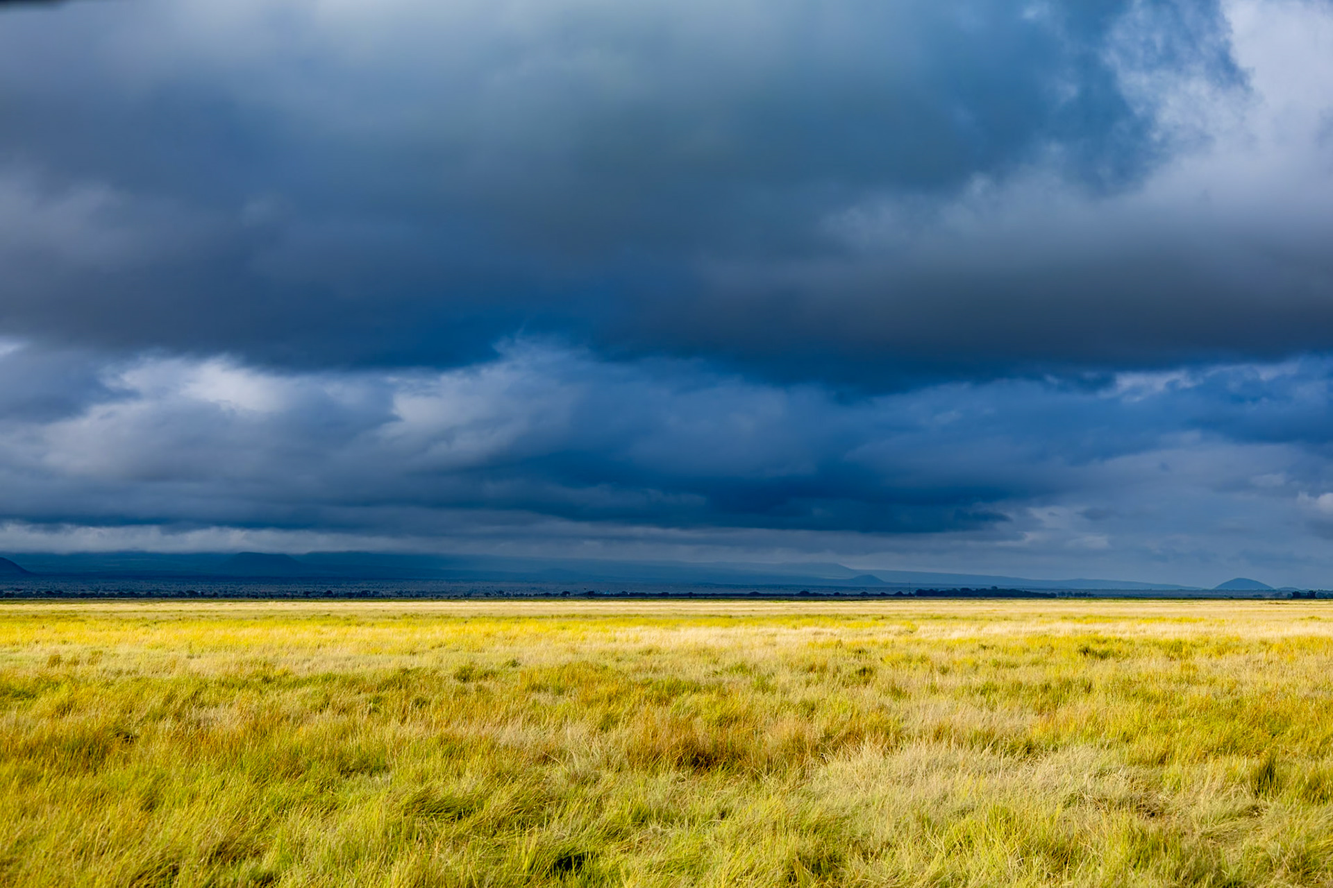 Stormy skies in Amboseli Kenya