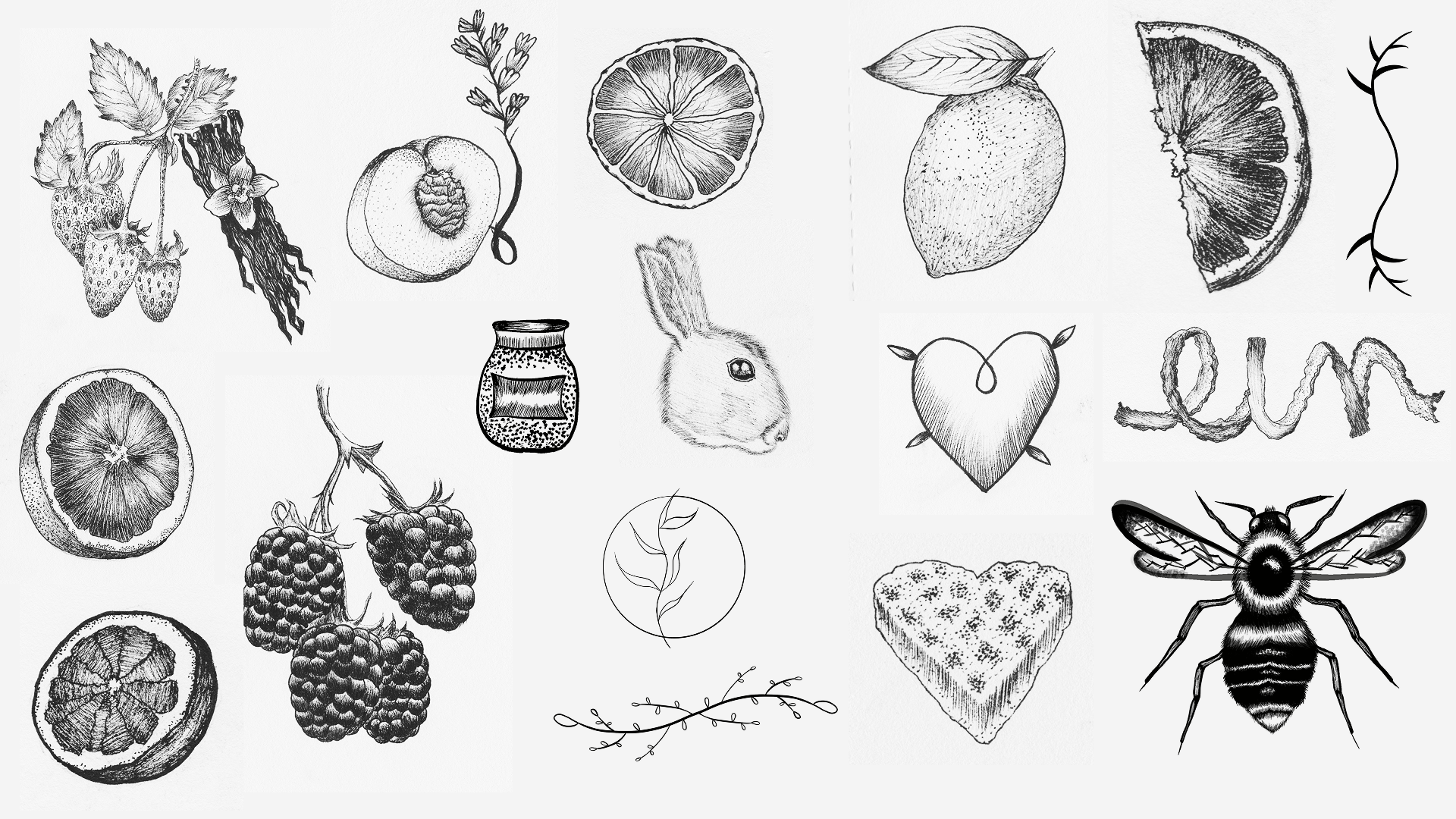 A variety of hand-drawn and digital illustrations