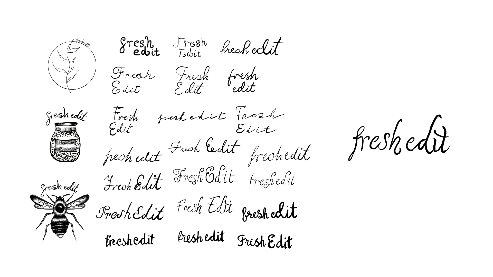 Logo iterations with the final logo chosen