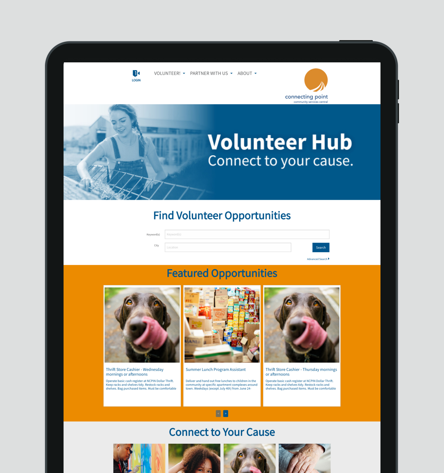 Web Banner Design