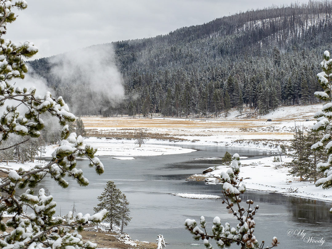 Yellowstone National Park