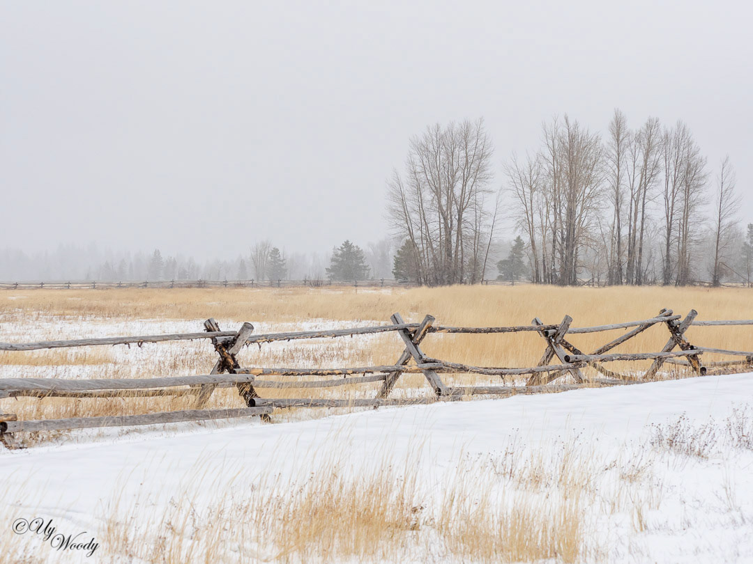 Grand Tetons National Park