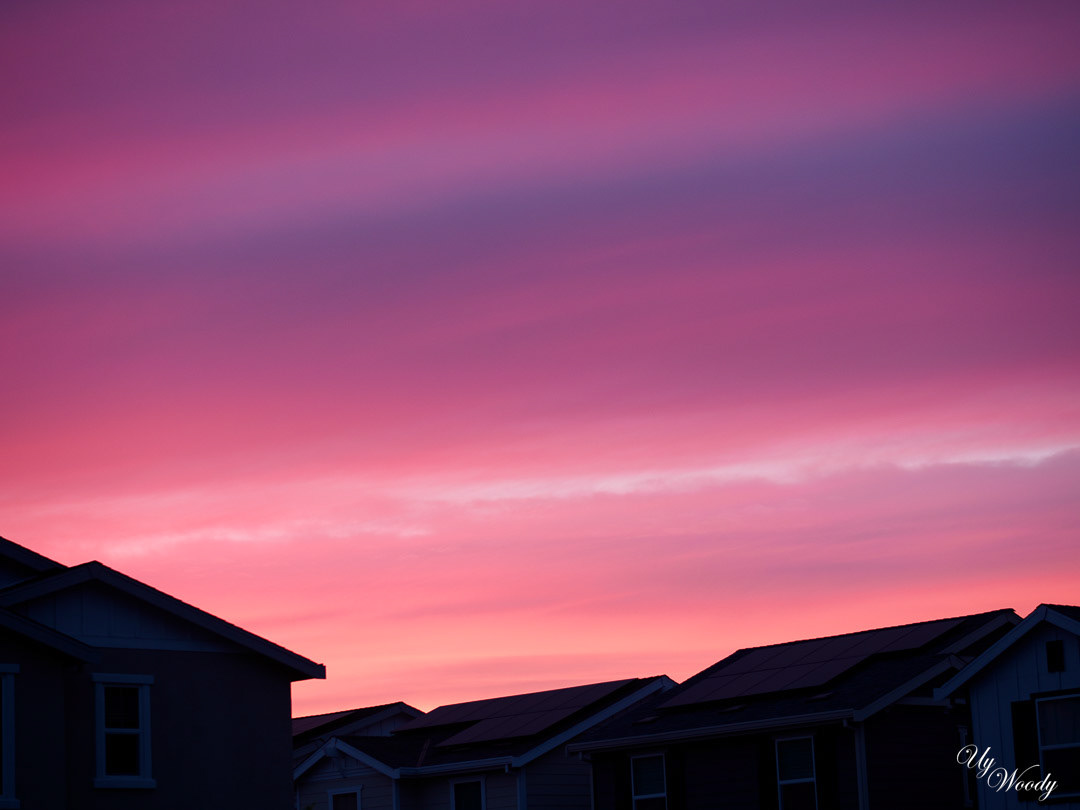 I saw the pink and purple glow outside my house, so I grabbed my camera to take this photo.  Blue hour.