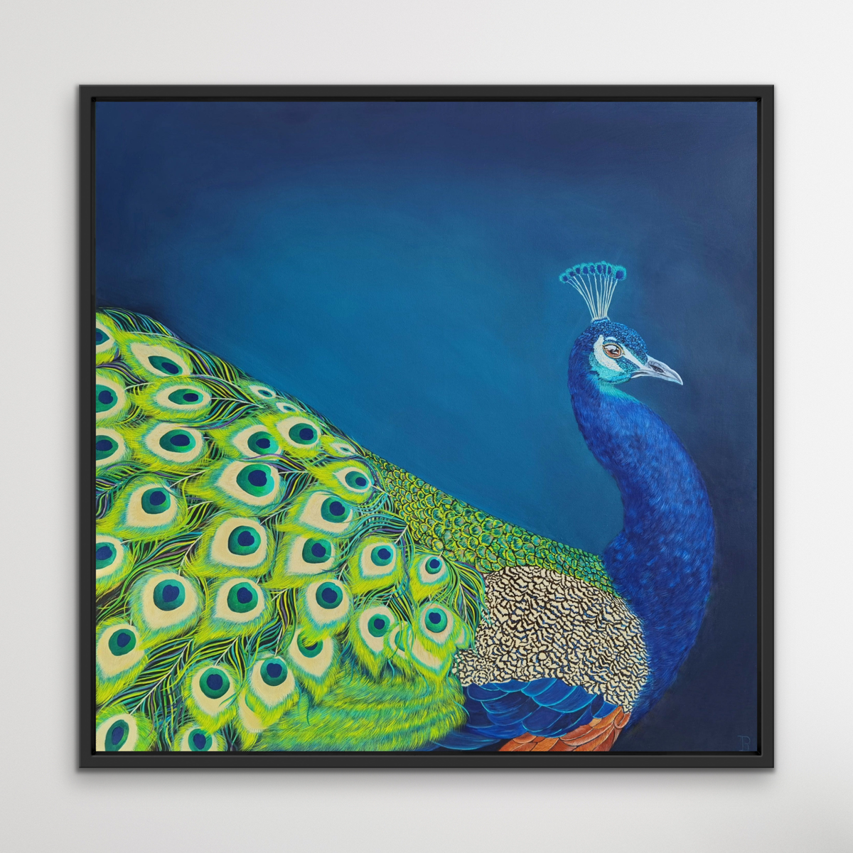 Peacock