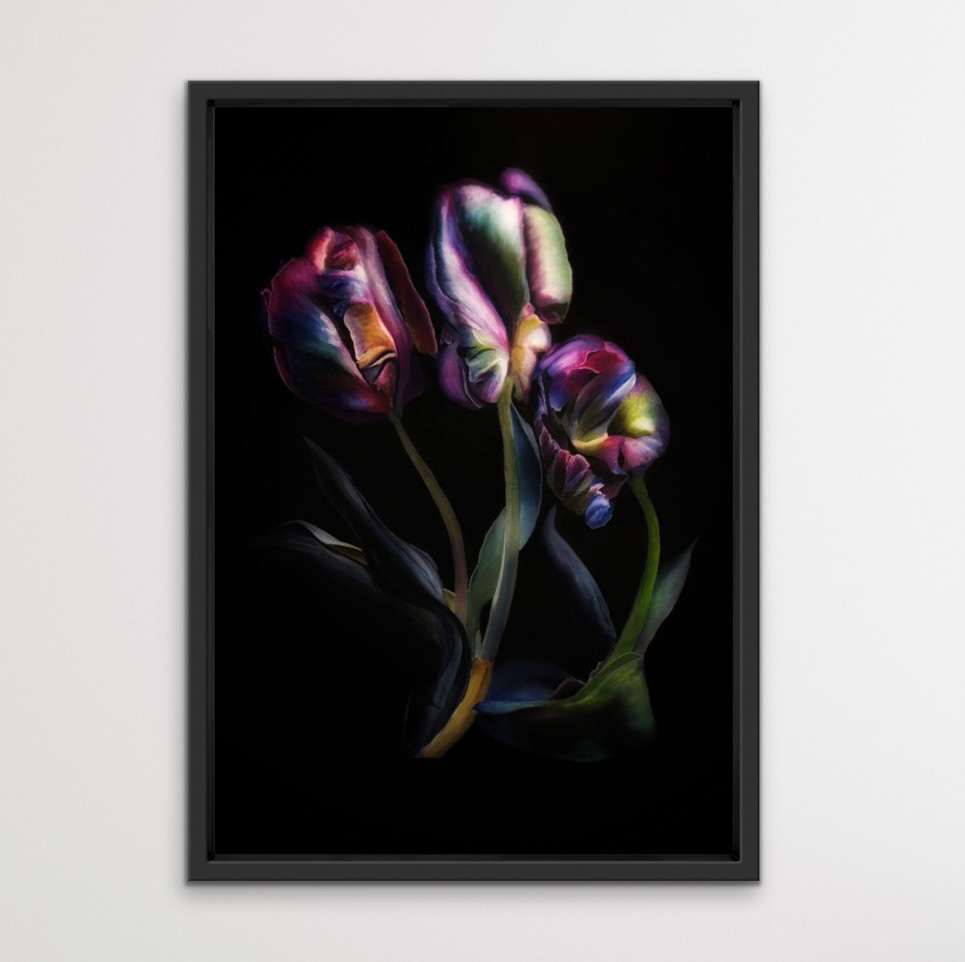 Tulip