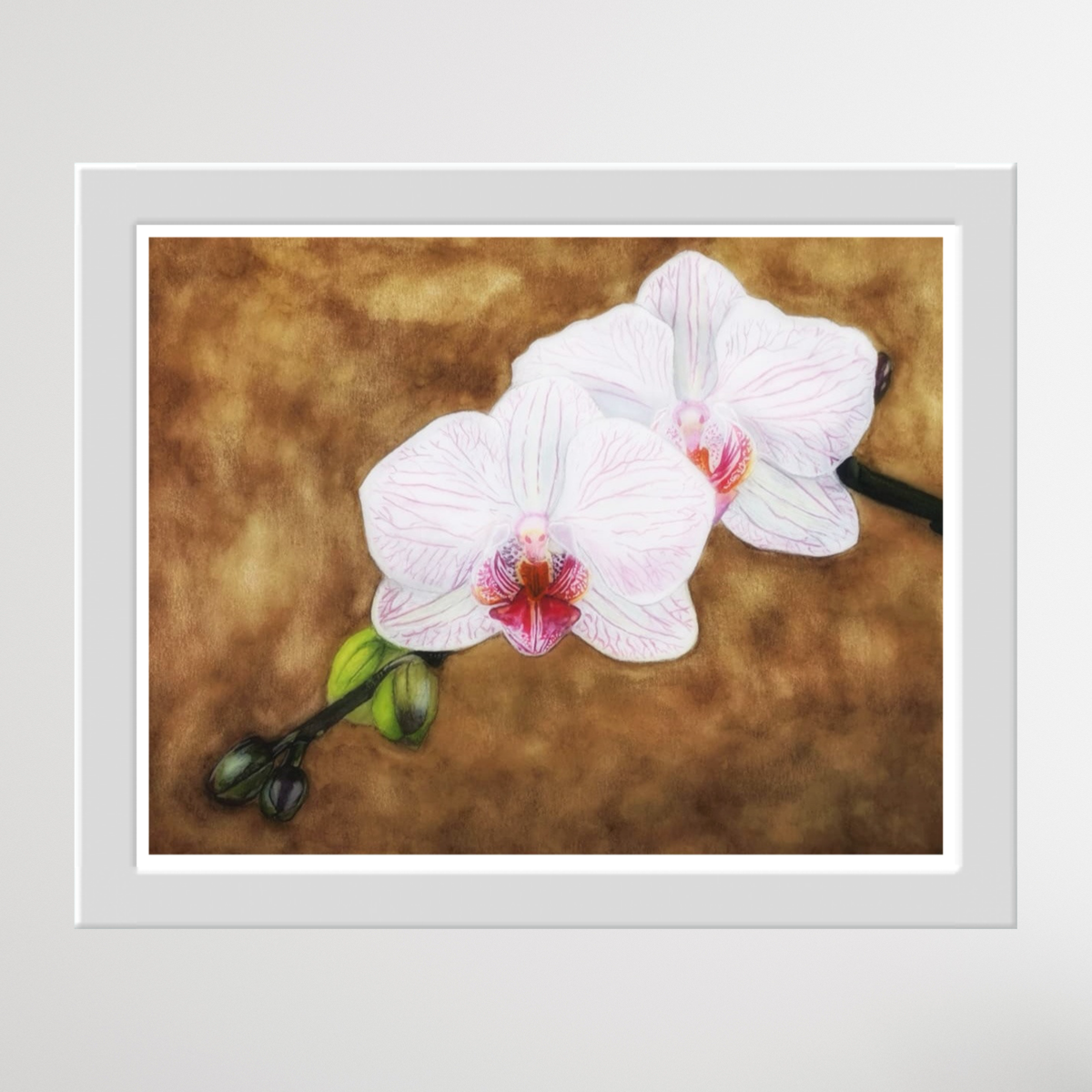 Orchidaceae